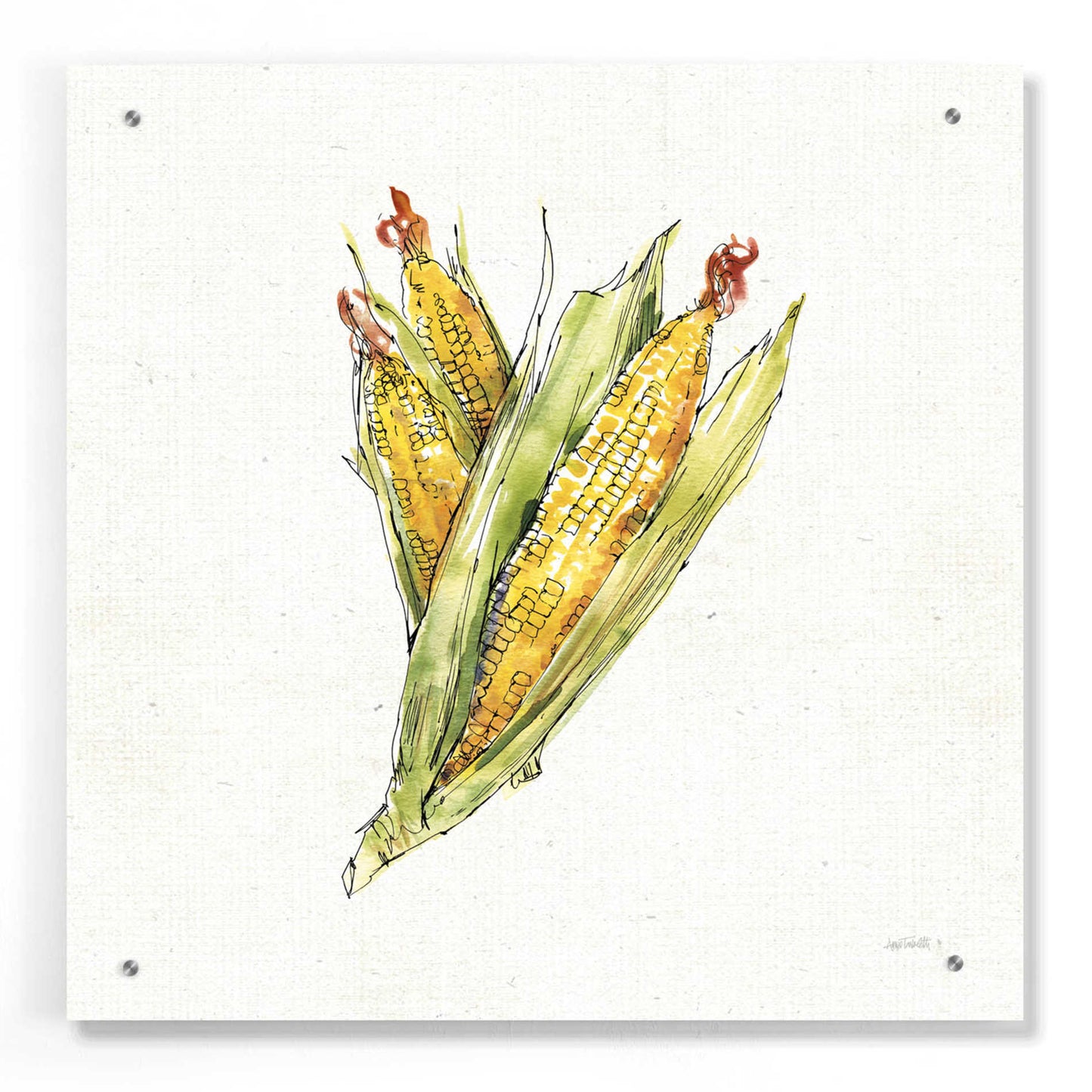 Epic Art 'Veggie Market III Corn' by Ann Tavoletti, Acrylic Glass Wall Art,24x24