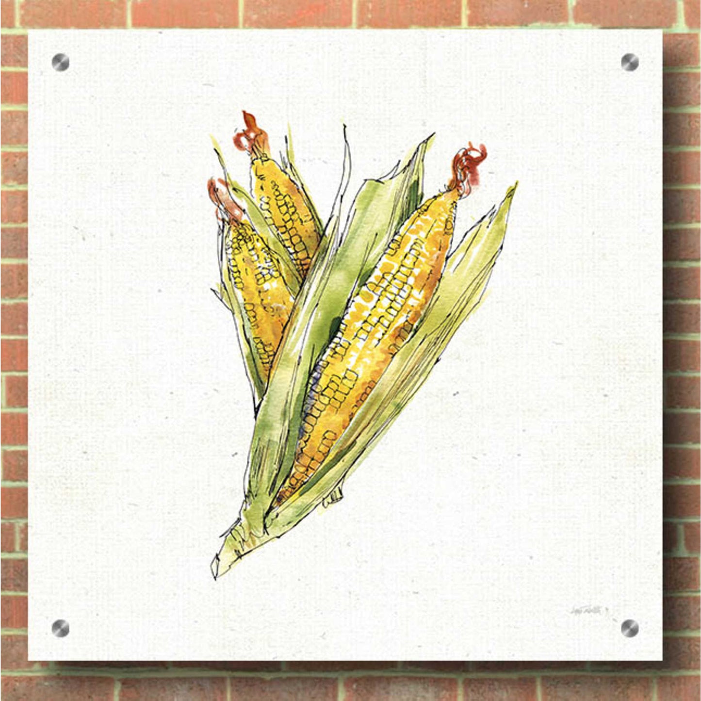 Epic Art 'Veggie Market III Corn' by Ann Tavoletti, Acrylic Glass Wall Art,36x36