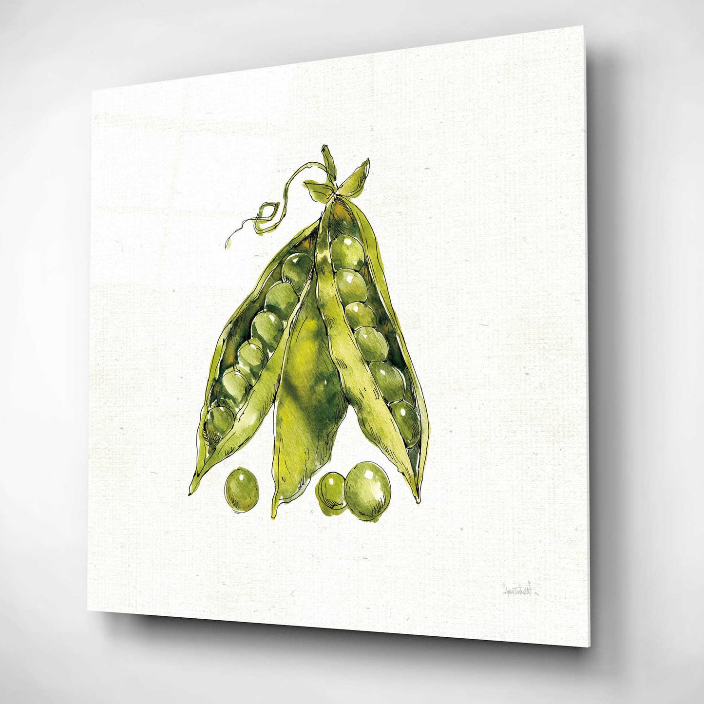 Epic Art 'Veggie Market IV Peas' by Ann Tavoletti, Acrylic Glass Wall Art,12x12