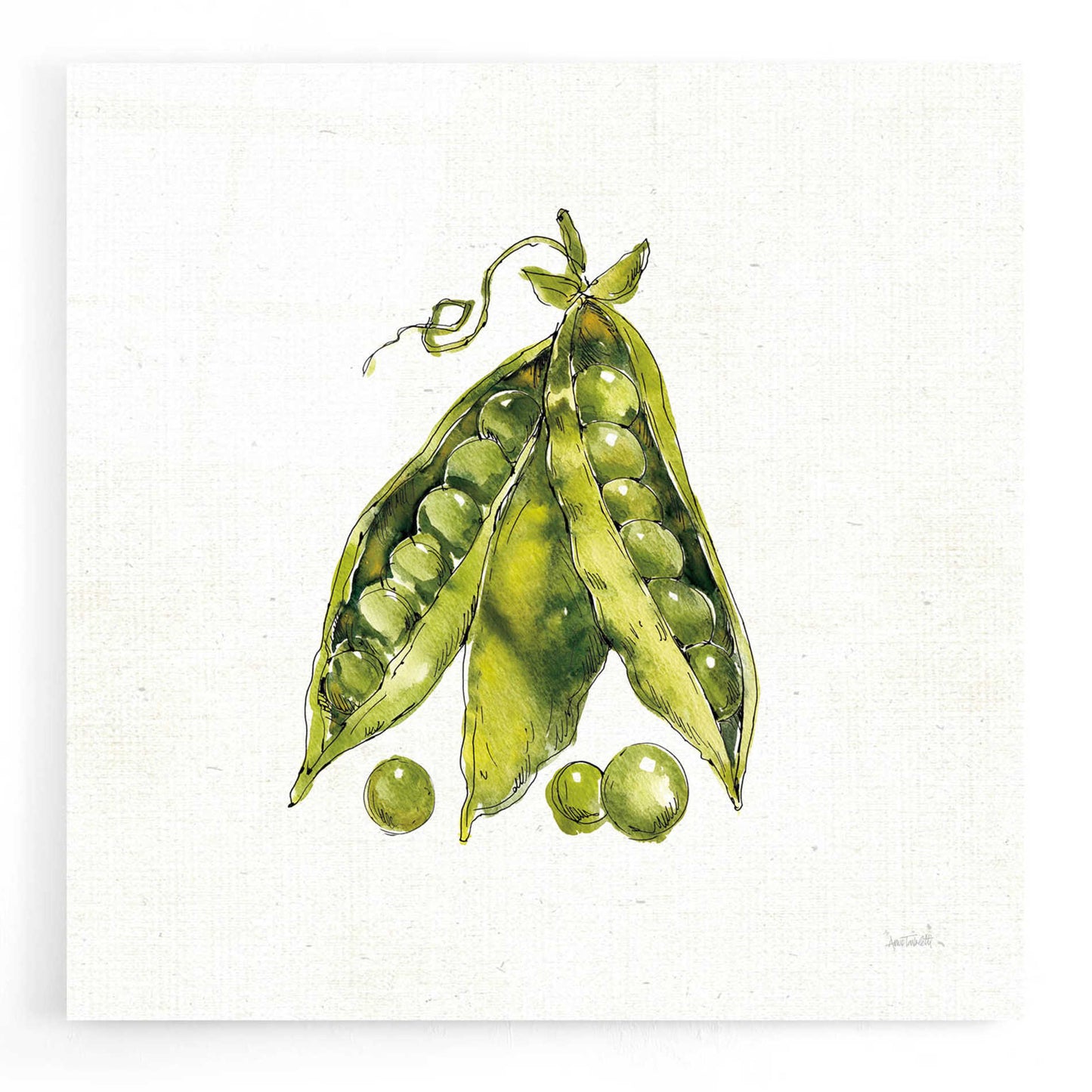 Epic Art 'Veggie Market IV Peas' by Ann Tavoletti, Acrylic Glass Wall Art,12x12