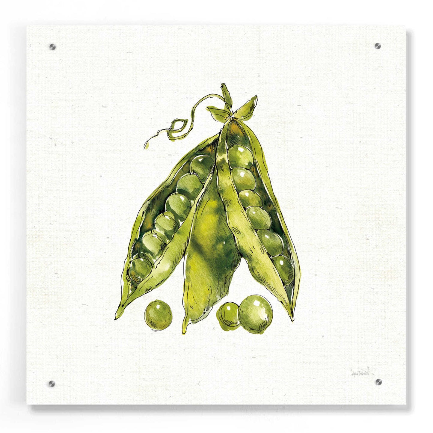 Epic Art 'Veggie Market IV Peas' by Ann Tavoletti, Acrylic Glass Wall Art,24x24