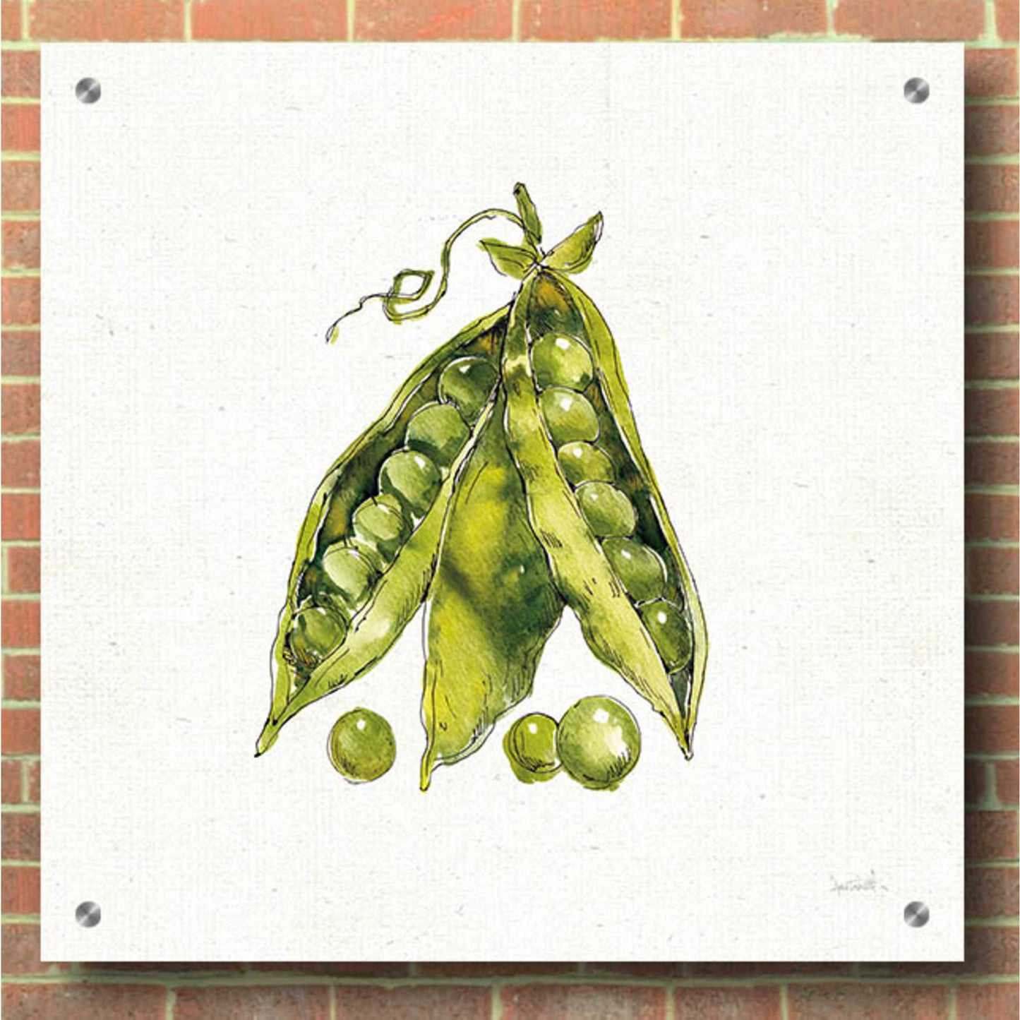 Epic Art 'Veggie Market IV Peas' by Ann Tavoletti, Acrylic Glass Wall Art,36x36