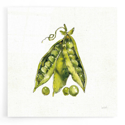 Epic Art 'Veggie Market IV Peas' by Ann Tavoletti, Acrylic Glass Wall Art