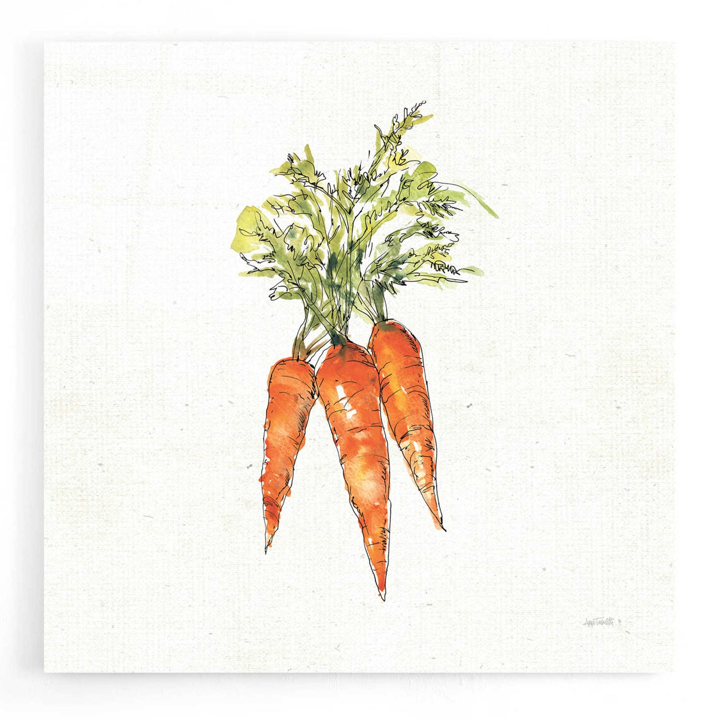 Epic Art 'Veggie Market V Carrots' by Ann Tavoletti, Acrylic Glass Wall Art,12x12