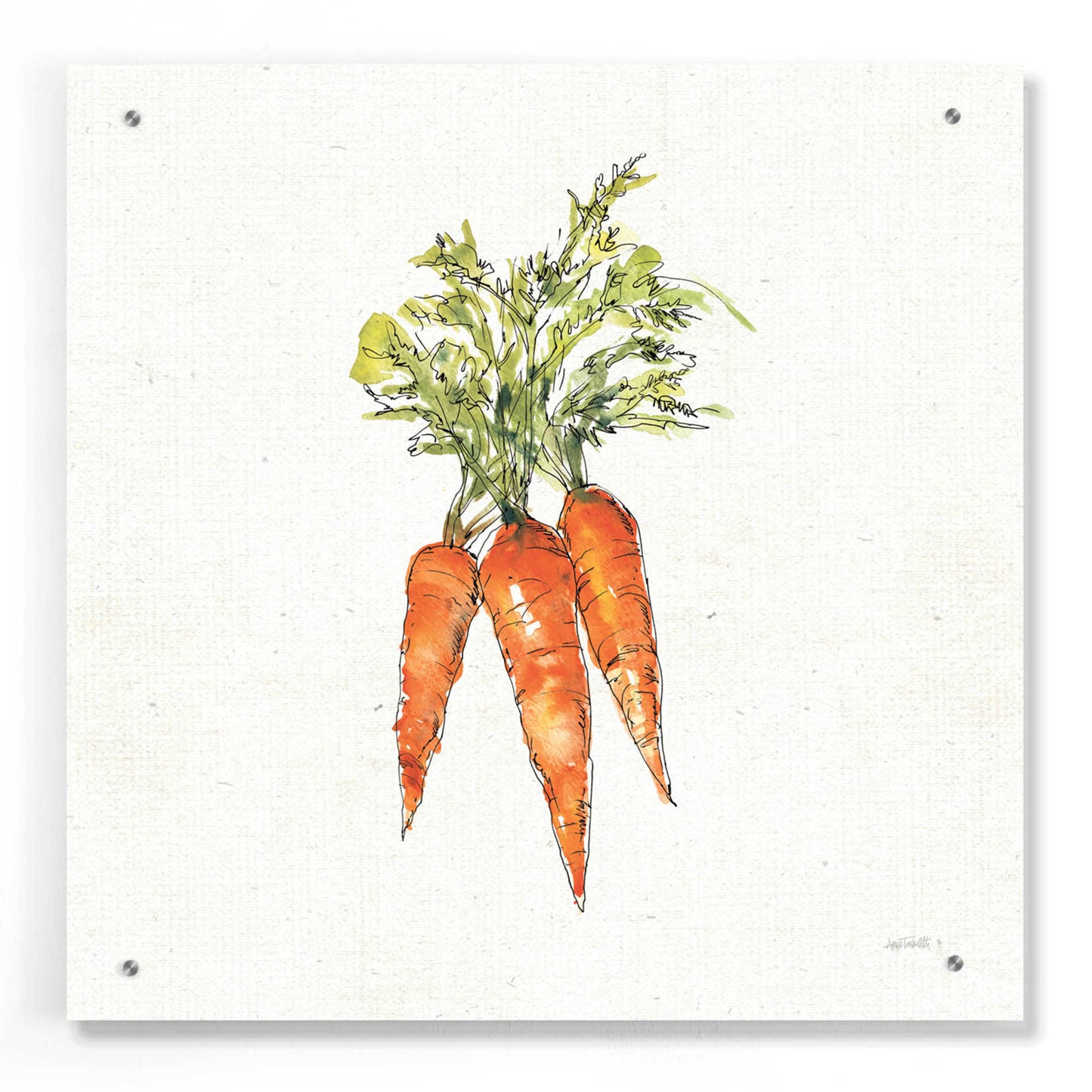 Epic Art 'Veggie Market V Carrots' by Ann Tavoletti, Acrylic Glass Wall Art,24x24