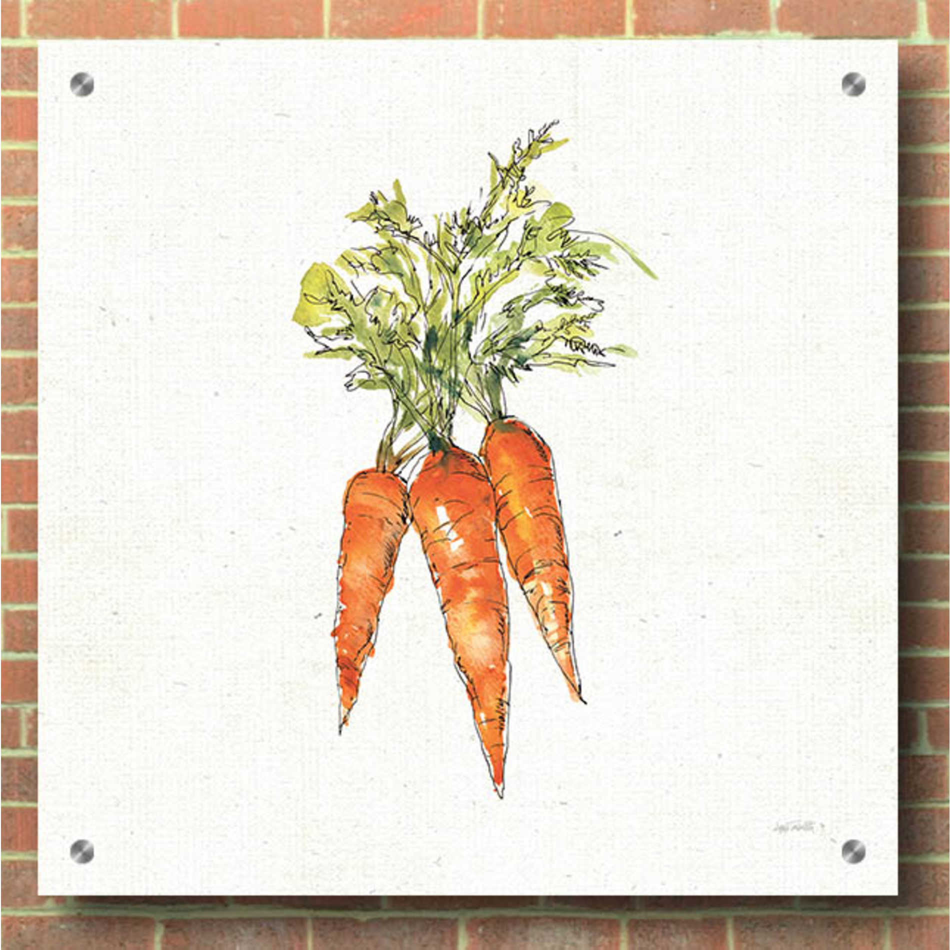 Epic Art 'Veggie Market V Carrots' by Ann Tavoletti, Acrylic Glass Wall Art,36x36