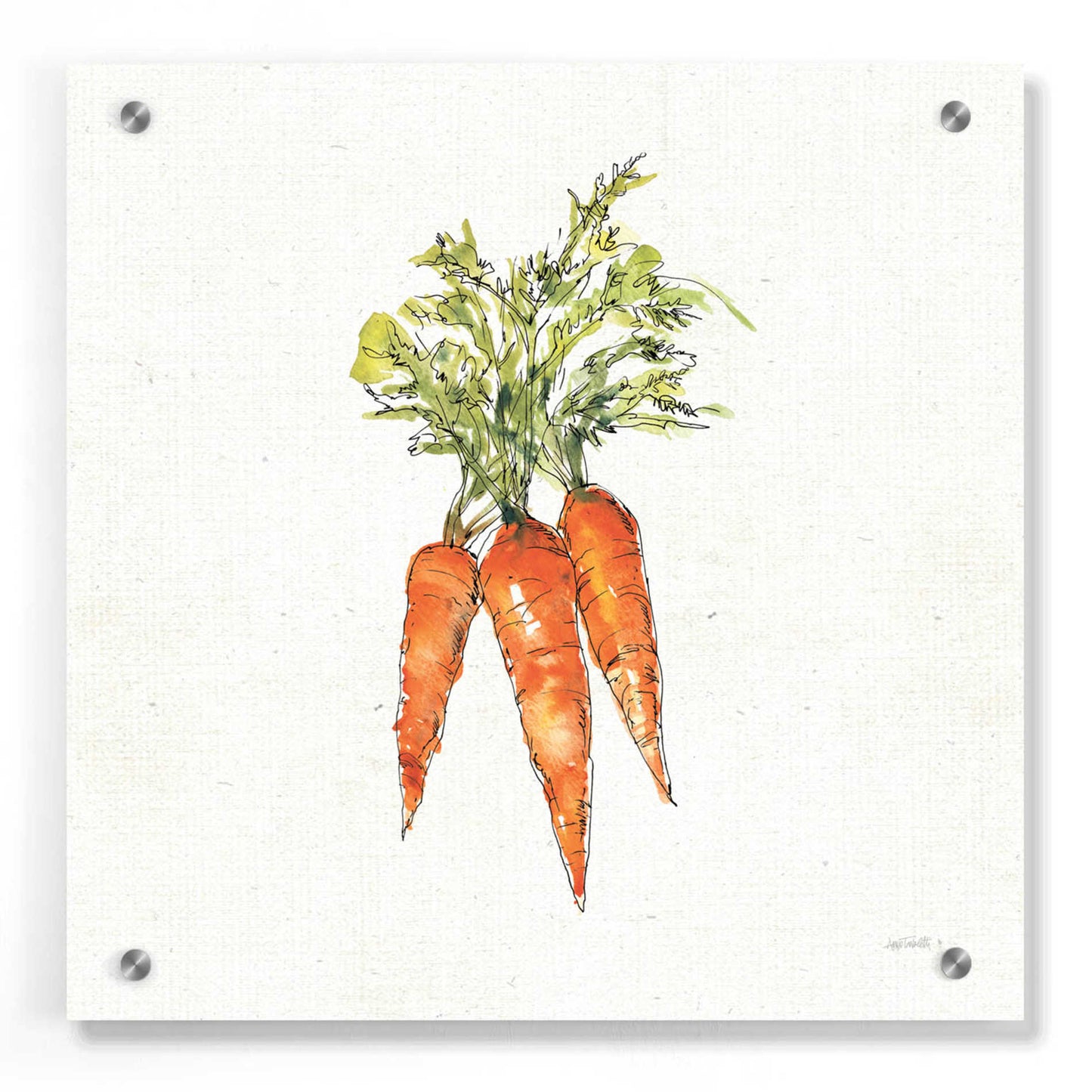 Epic Art 'Veggie Market V Carrots' by Ann Tavoletti, Acrylic Glass Wall Art,36x36