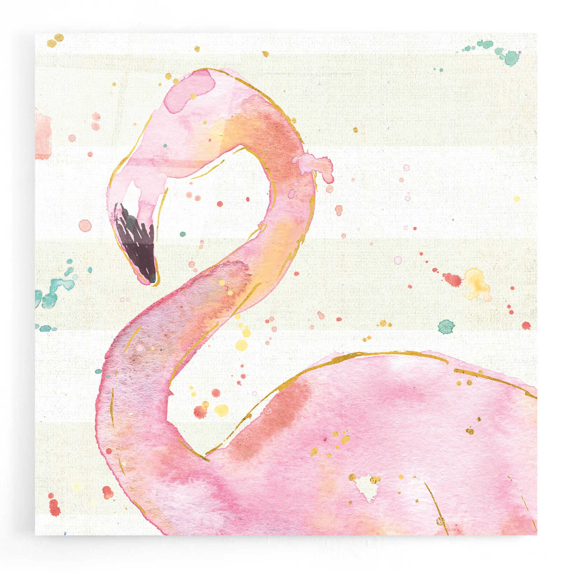 Epic Art 'Flamingo Fever III' by Ann Tavoletti, Acrylic Glass Wall Art,12x12