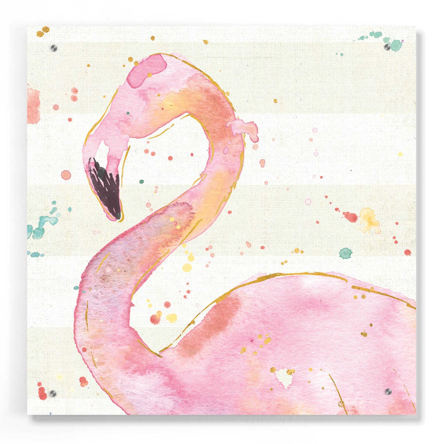 Epic Art 'Flamingo Fever III' by Ann Tavoletti, Acrylic Glass Wall Art,24x24