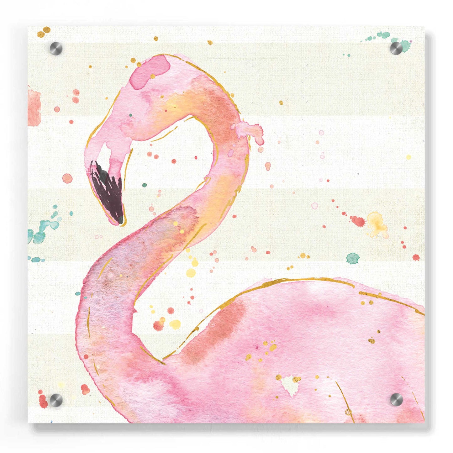 Epic Art 'Flamingo Fever III' by Ann Tavoletti, Acrylic Glass Wall Art,36x36