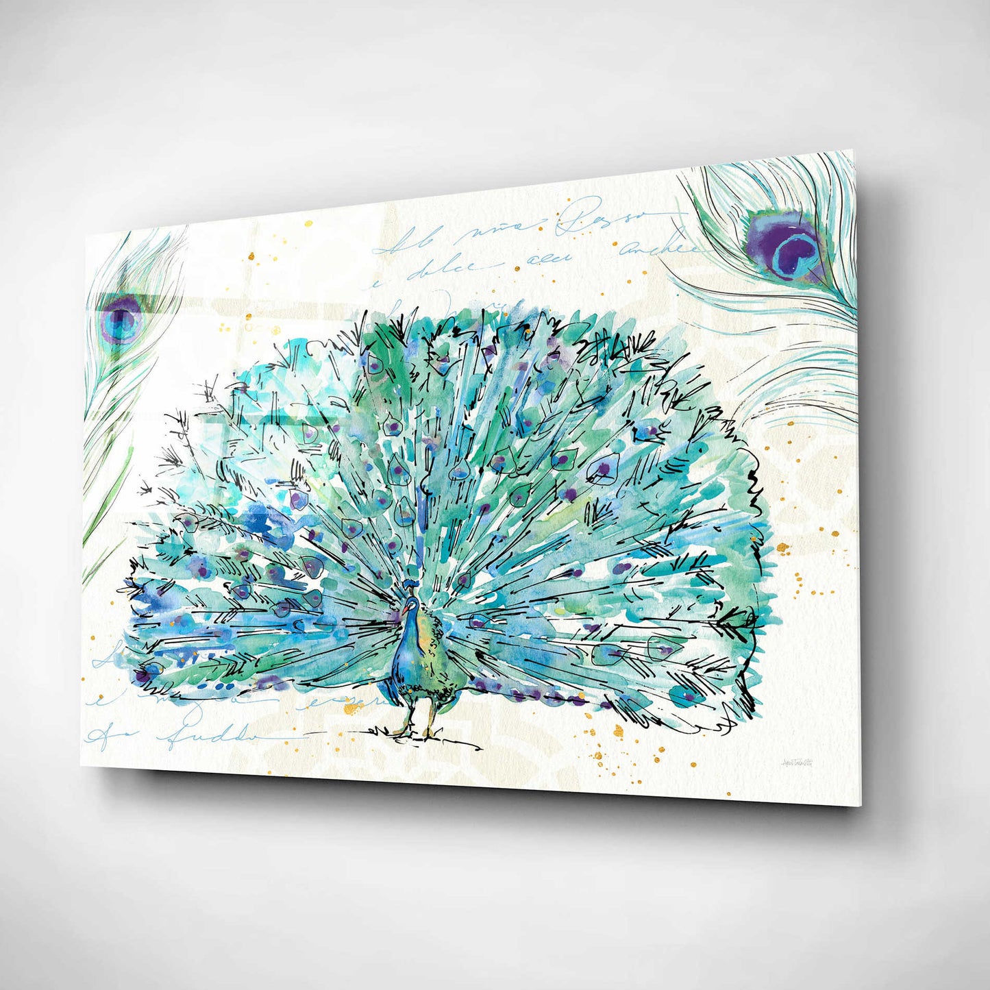 Epic Art 'Peacock Garden IX' by Ann Tavoletti, Acrylic Glass Wall Art,24x16
