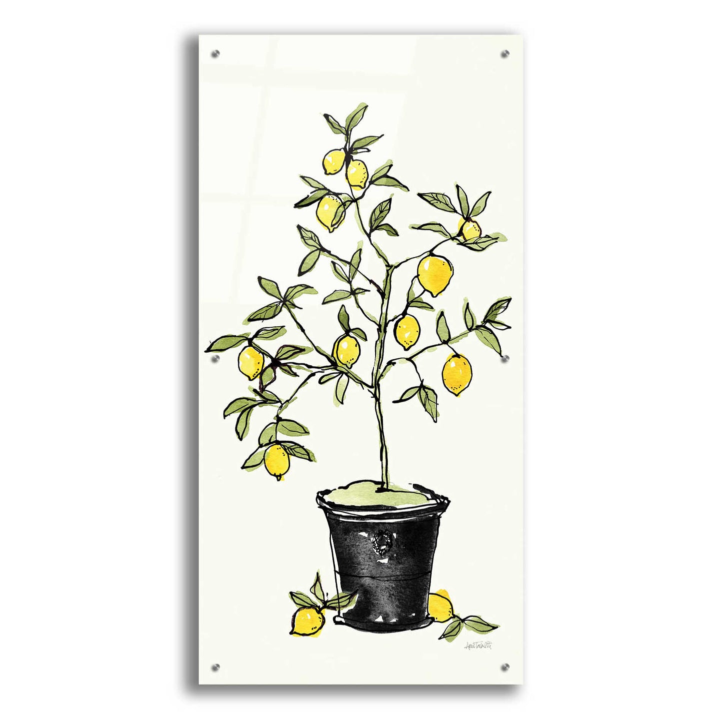 Epic Art 'Citron V' by Ann Tavoletti, Acrylic Glass Wall Art,24x48