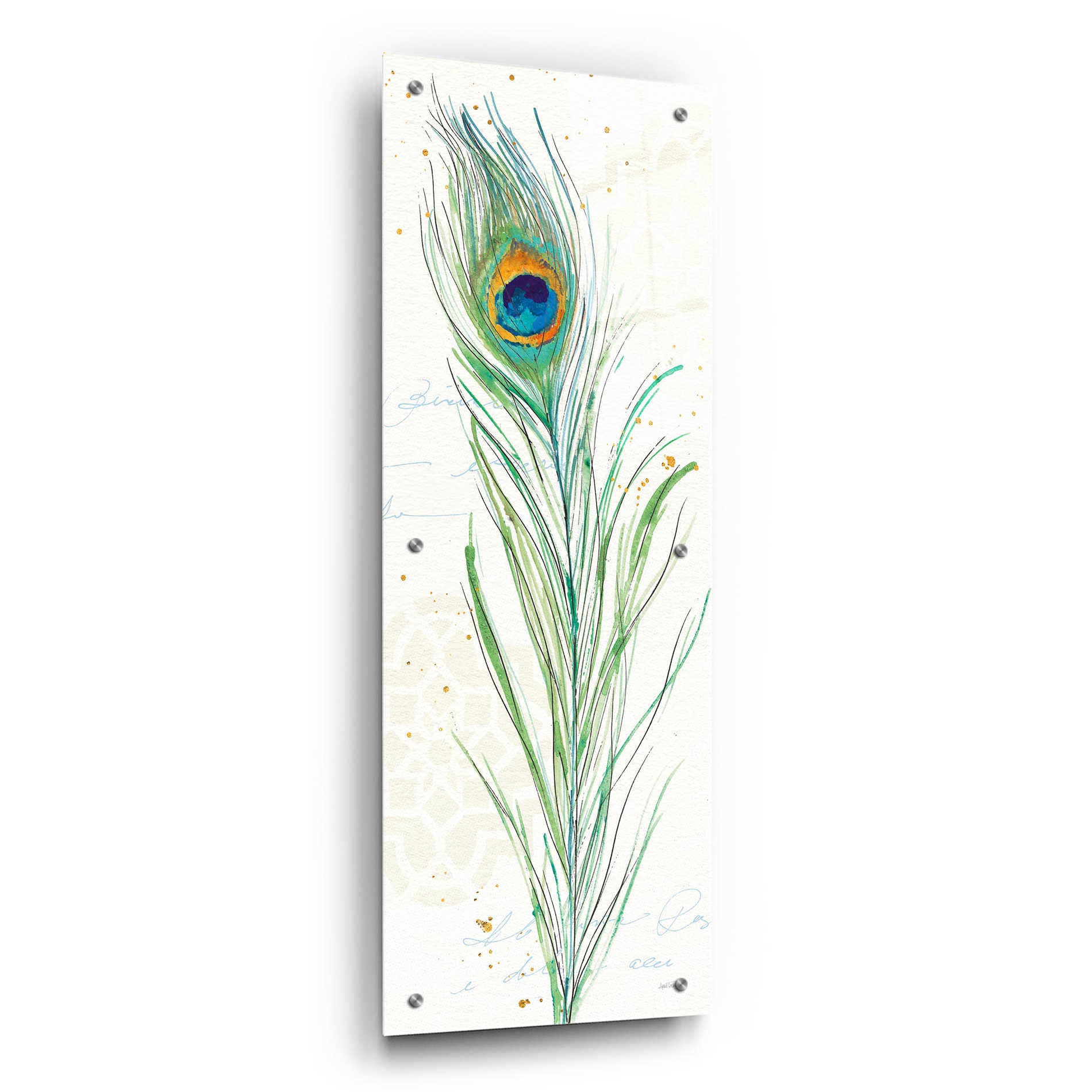 Epic Art 'Peacock Garden VI' by Ann Tavoletti, Acrylic Glass Wall Art,12x36