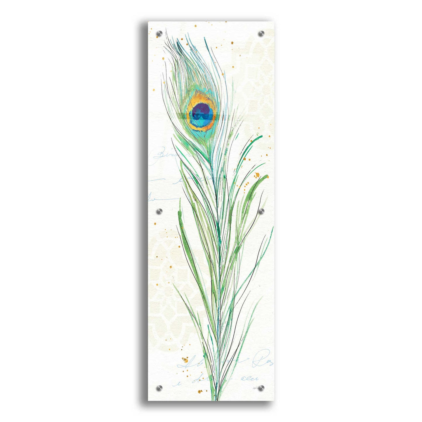 Epic Art 'Peacock Garden VI' by Ann Tavoletti, Acrylic Glass Wall Art,12x36