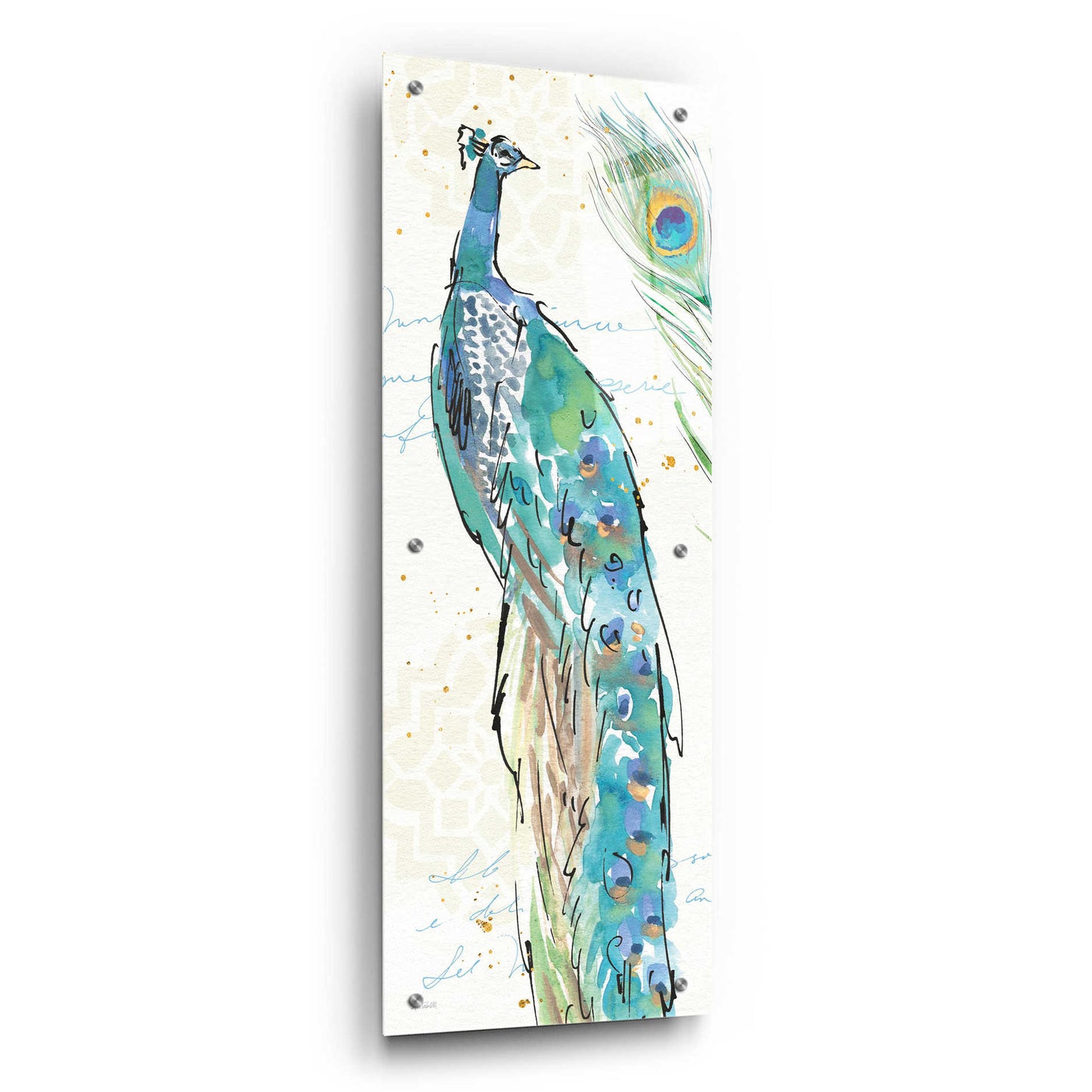 Epic Art 'Peacock Garden IV' by Ann Tavoletti, Acrylic Glass Wall Art,12x36