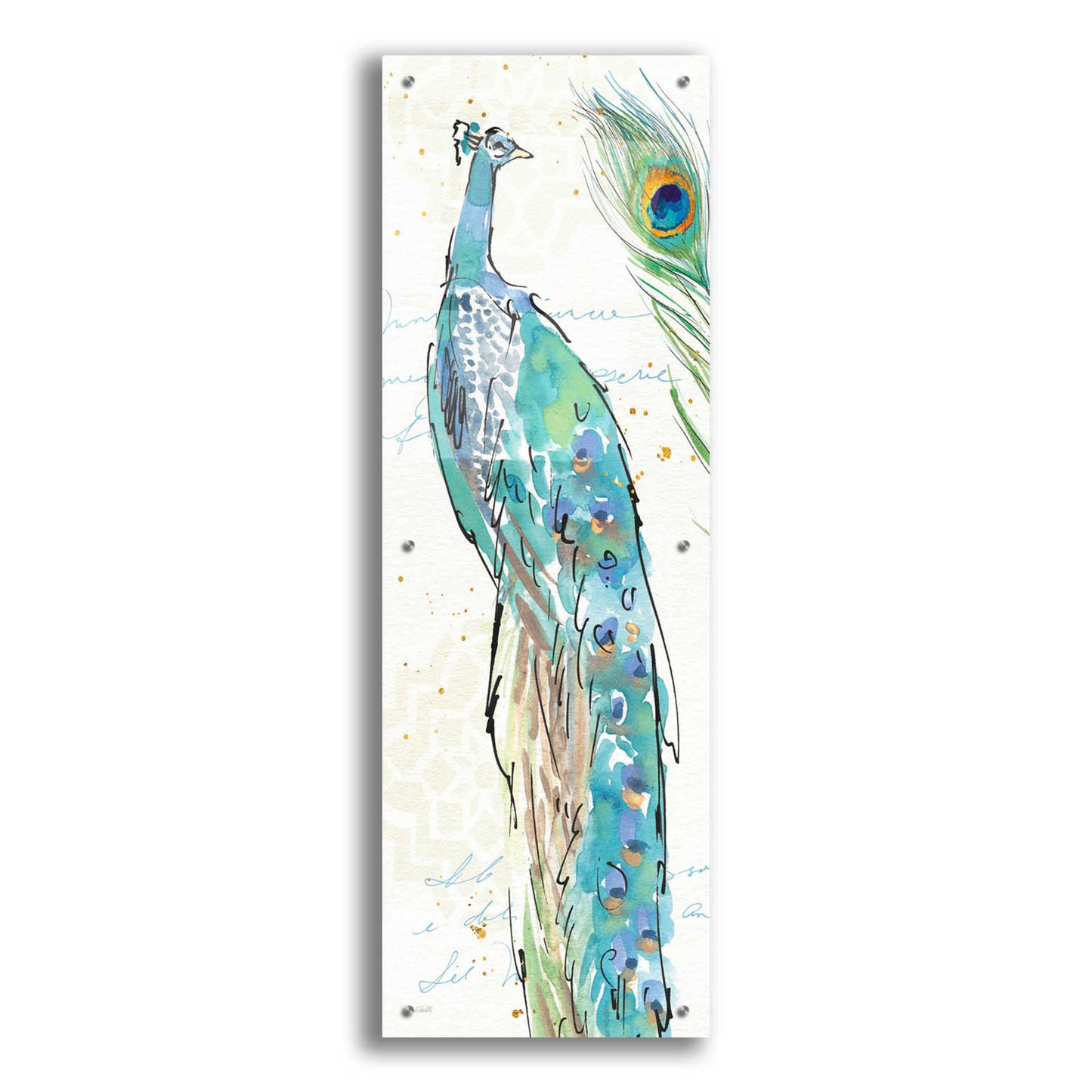Epic Art 'Peacock Garden IV' by Ann Tavoletti, Acrylic Glass Wall Art,16x48
