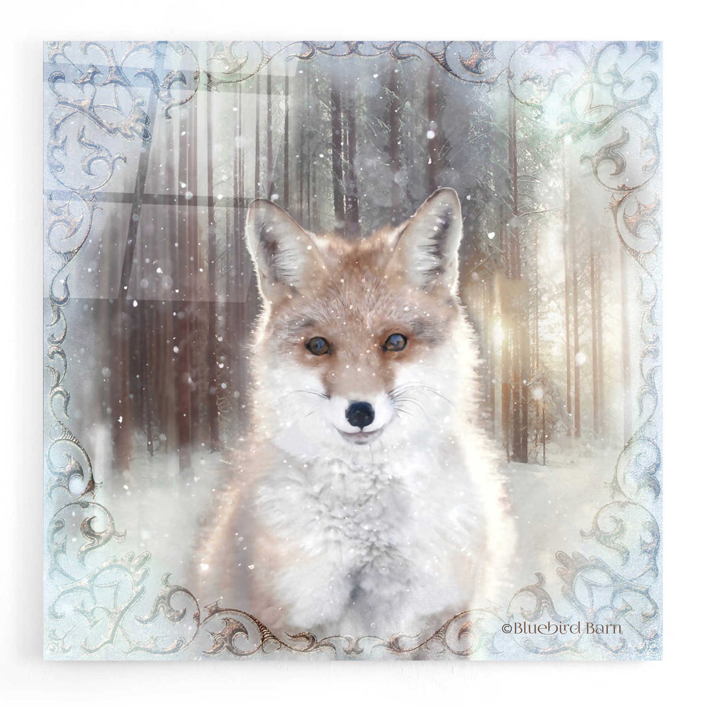 Epic Art 'Enchanted Winter Fox' by Bluebird Barn, Acrylic Glass Wall Art,12x12