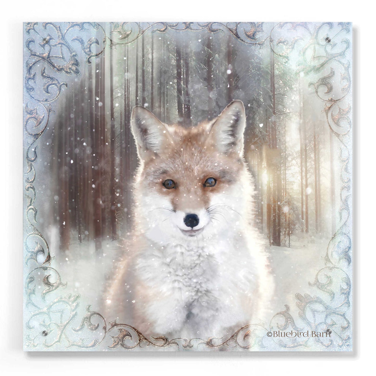 Epic Art 'Enchanted Winter Fox' by Bluebird Barn, Acrylic Glass Wall Art,24x24