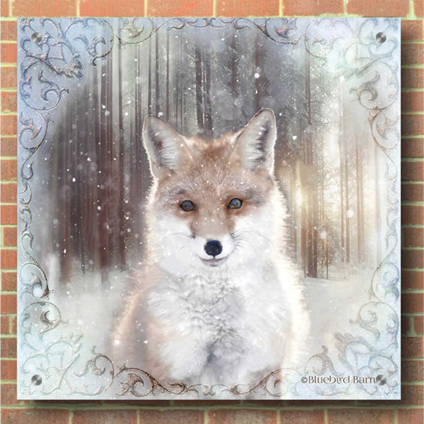 Epic Art 'Enchanted Winter Fox' by Bluebird Barn, Acrylic Glass Wall Art,36x36