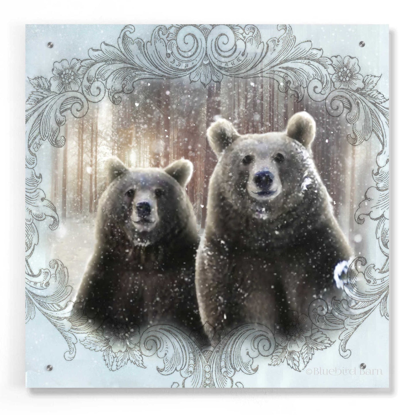 Epic Art 'Enchanted Winter Bears' by Bluebird Barn, Acrylic Glass Wall Art,24x24