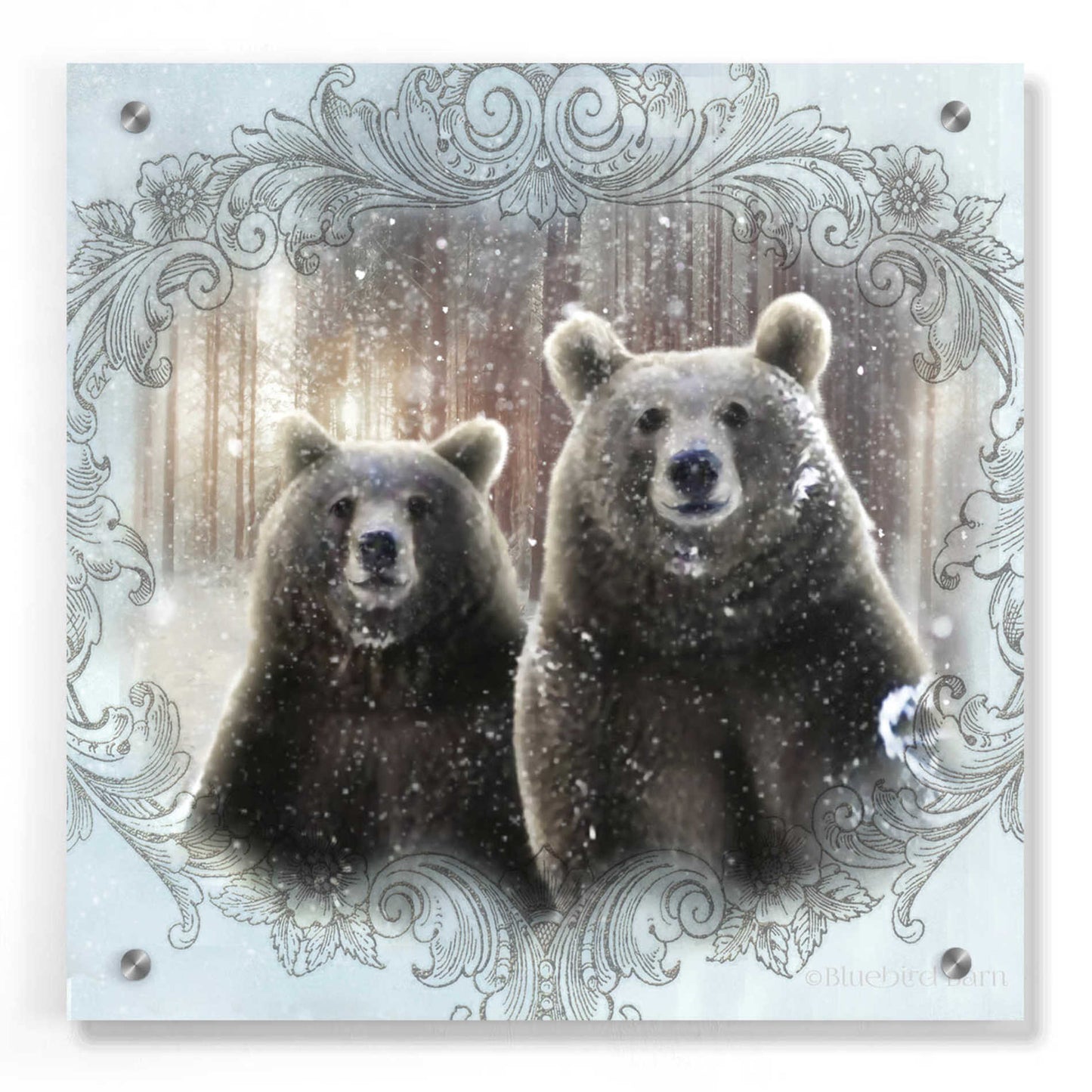 Epic Art 'Enchanted Winter Bears' by Bluebird Barn, Acrylic Glass Wall Art,36x36