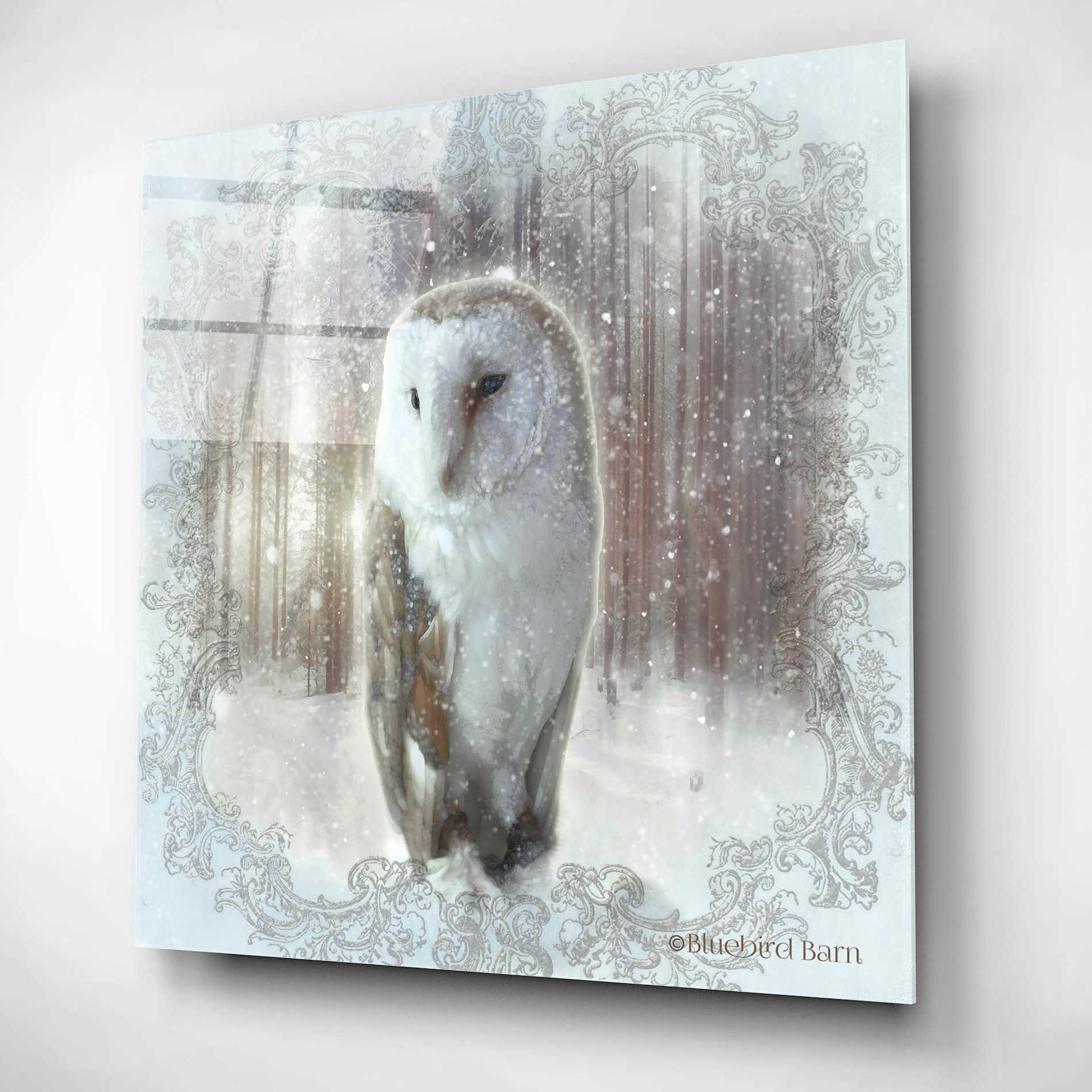 Epic Art 'Enchanted Winter Owl' by Bluebird Barn, Acrylic Glass Wall Art,12x12