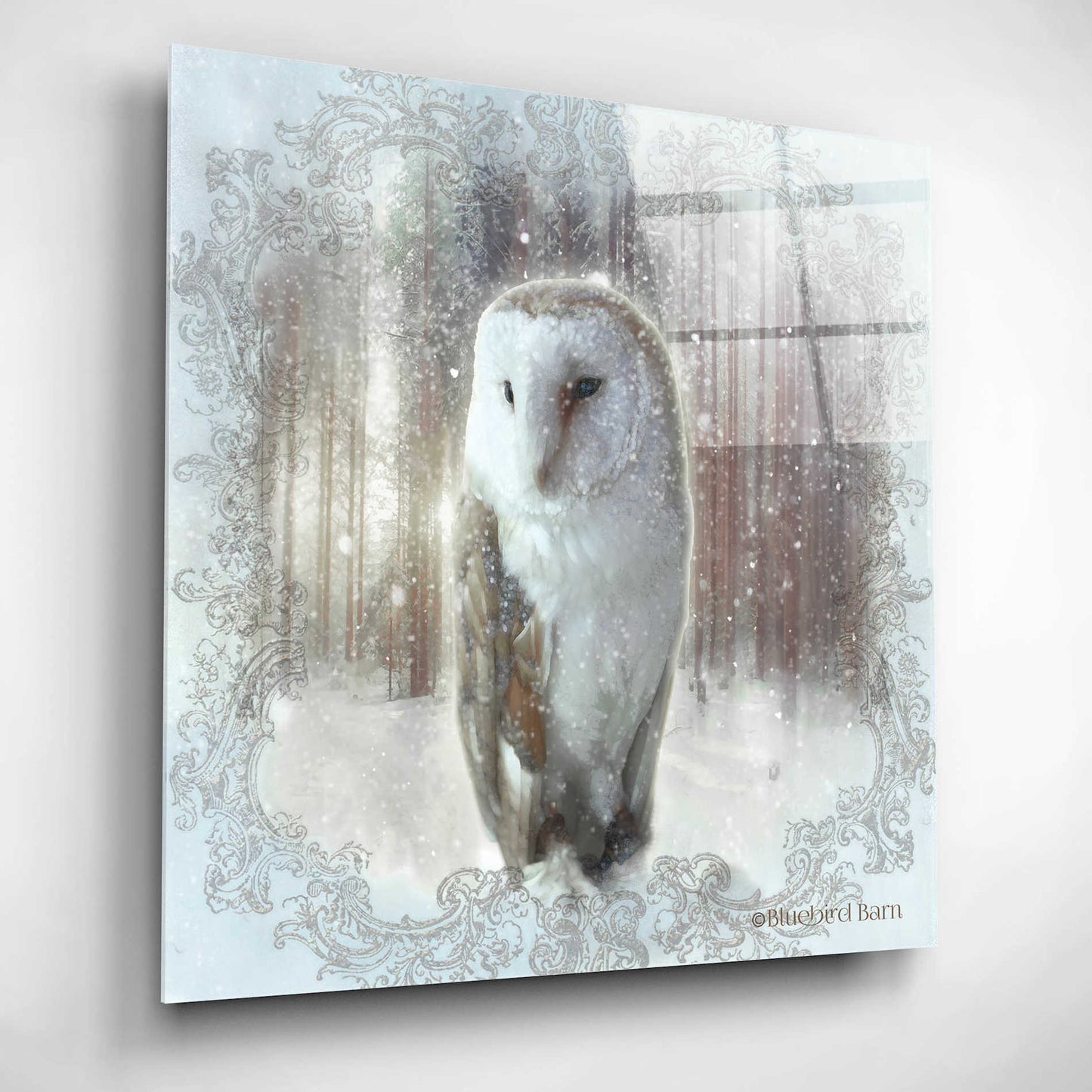 Epic Art 'Enchanted Winter Owl' by Bluebird Barn, Acrylic Glass Wall Art,12x12