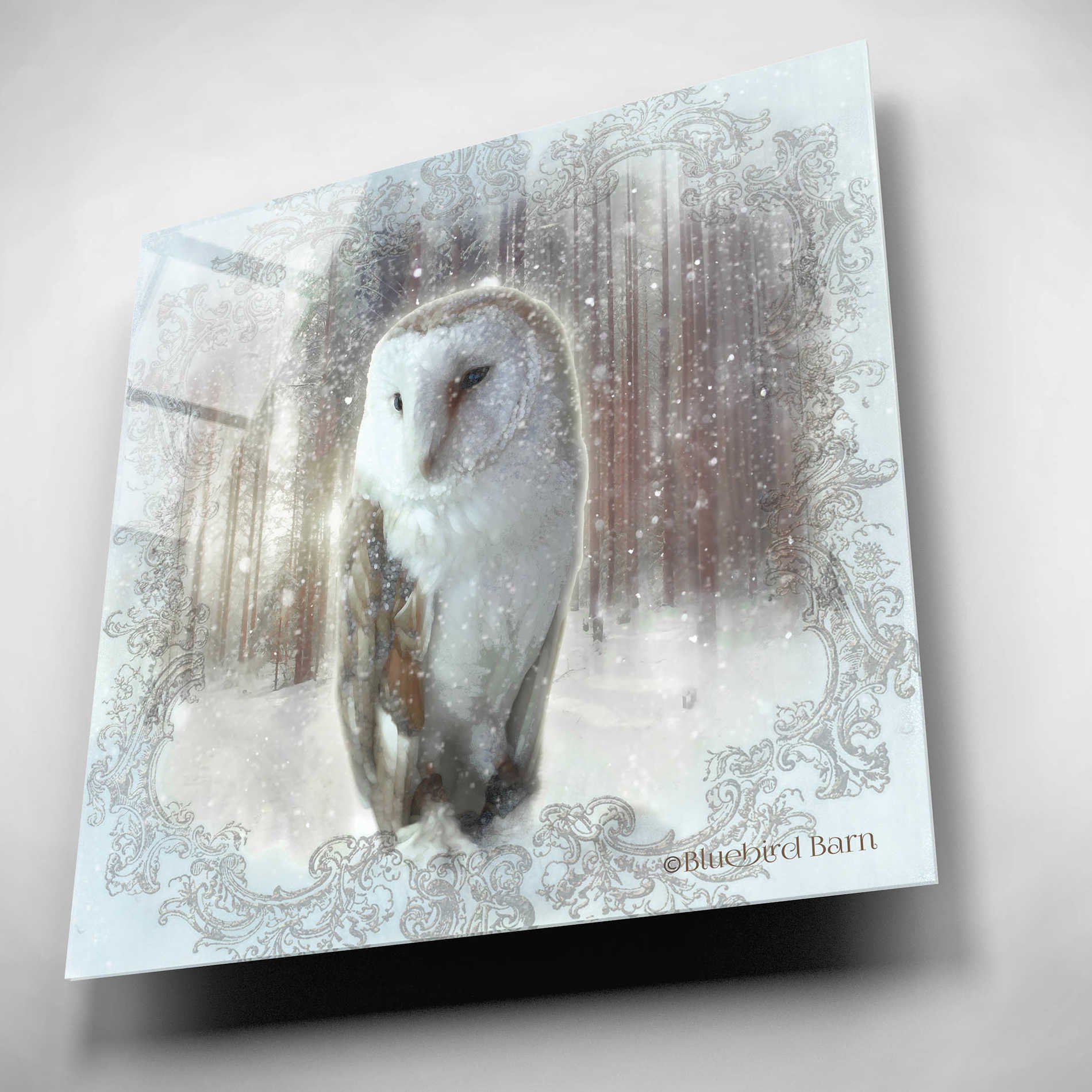 Epic Art 'Enchanted Winter Owl' by Bluebird Barn, Acrylic Glass Wall Art,12x12