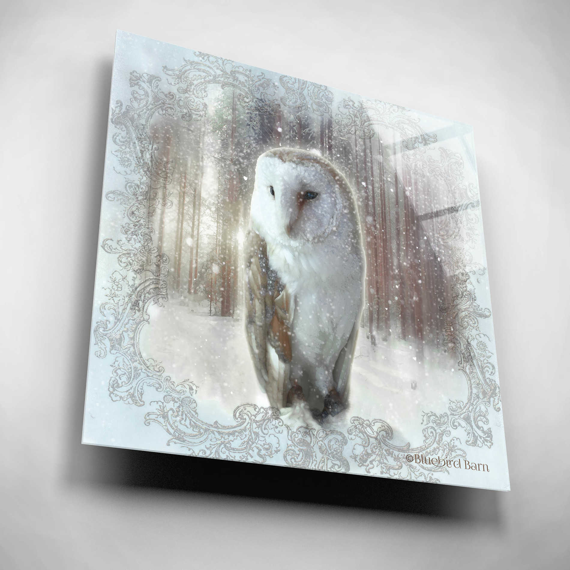 Epic Art 'Enchanted Winter Owl' by Bluebird Barn, Acrylic Glass Wall Art,12x12