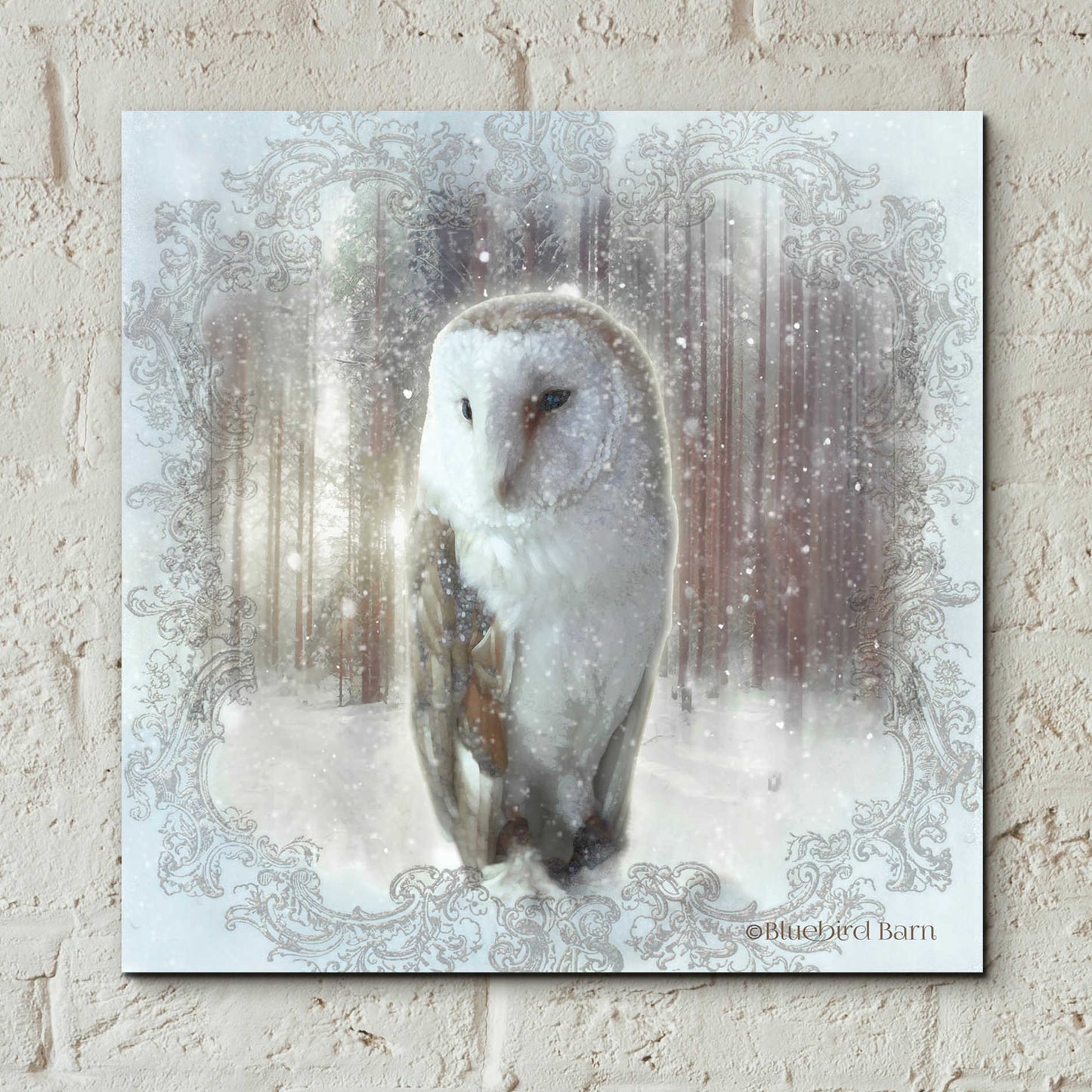 Epic Art 'Enchanted Winter Owl' by Bluebird Barn, Acrylic Glass Wall Art,12x12