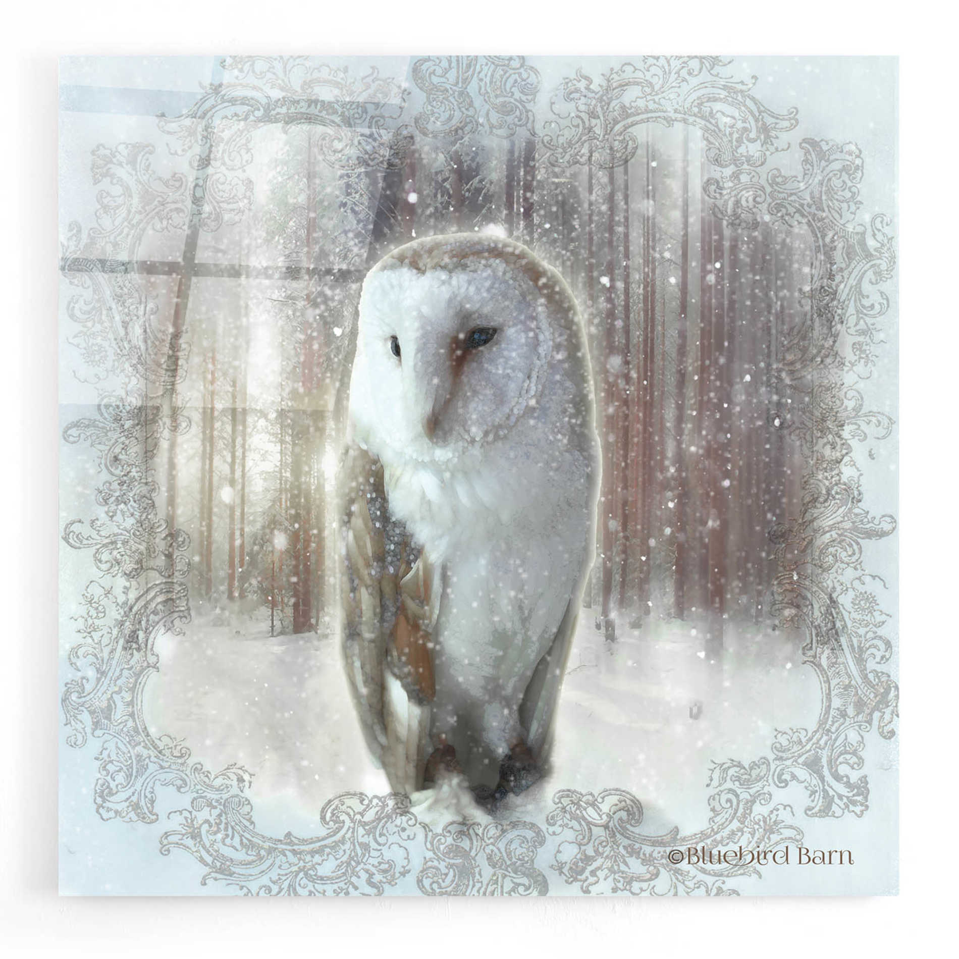 Epic Art 'Enchanted Winter Owl' by Bluebird Barn, Acrylic Glass Wall Art,12x12