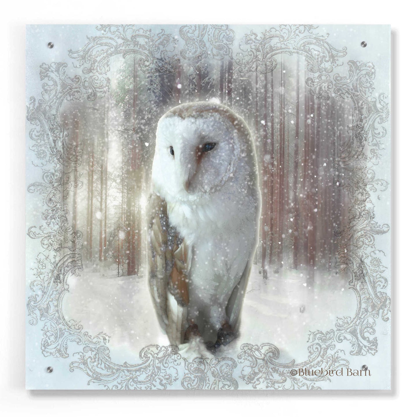 Epic Art 'Enchanted Winter Owl' by Bluebird Barn, Acrylic Glass Wall Art,24x24