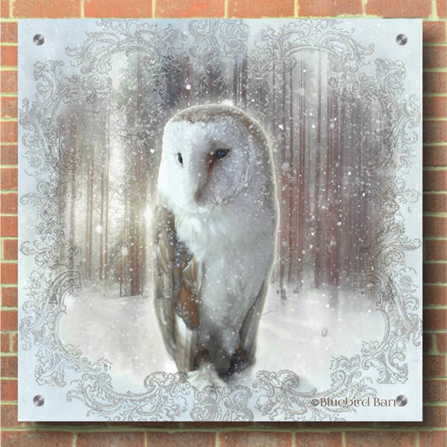 Epic Art 'Enchanted Winter Owl' by Bluebird Barn, Acrylic Glass Wall Art,36x36