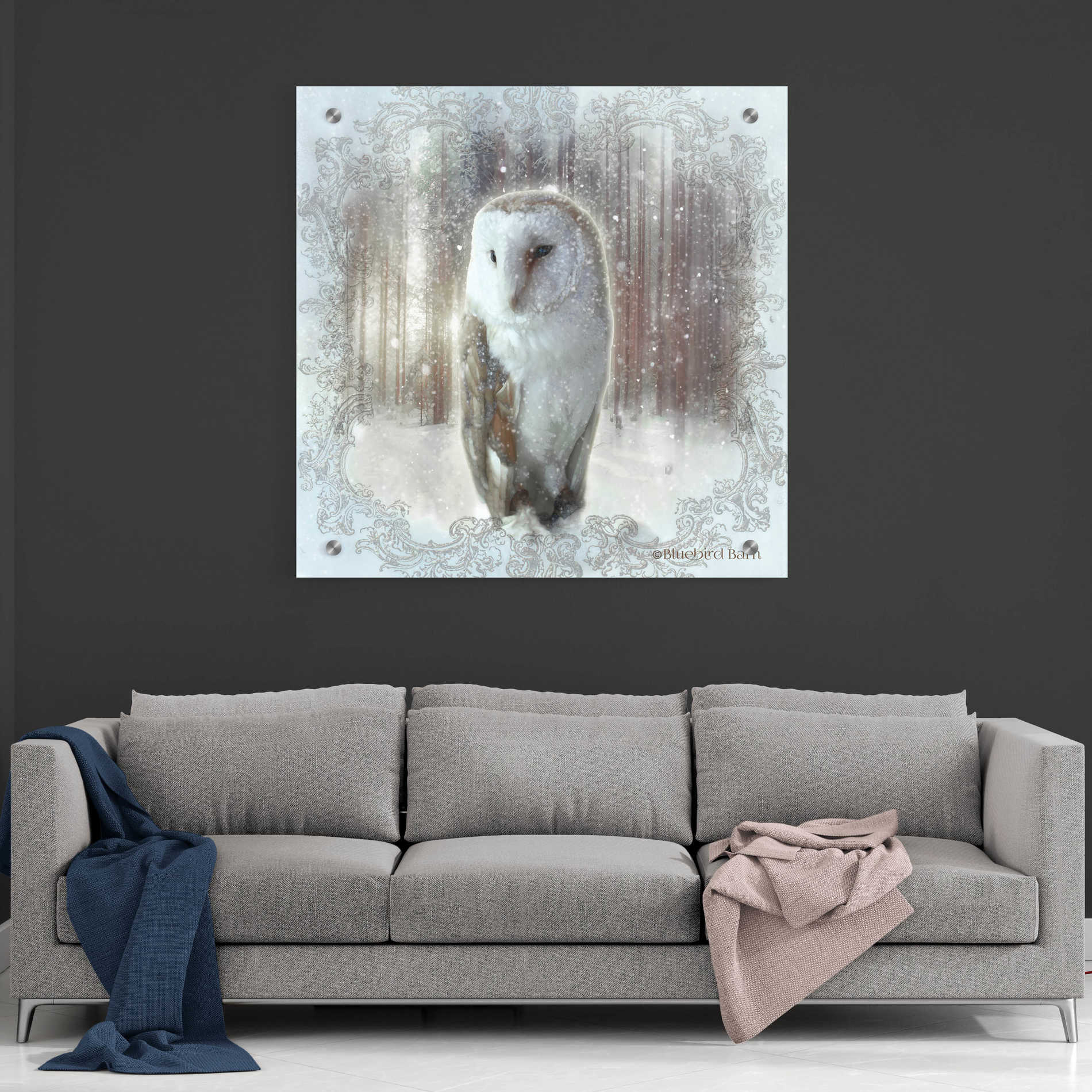 Epic Art 'Enchanted Winter Owl' by Bluebird Barn, Acrylic Glass Wall Art,36x36