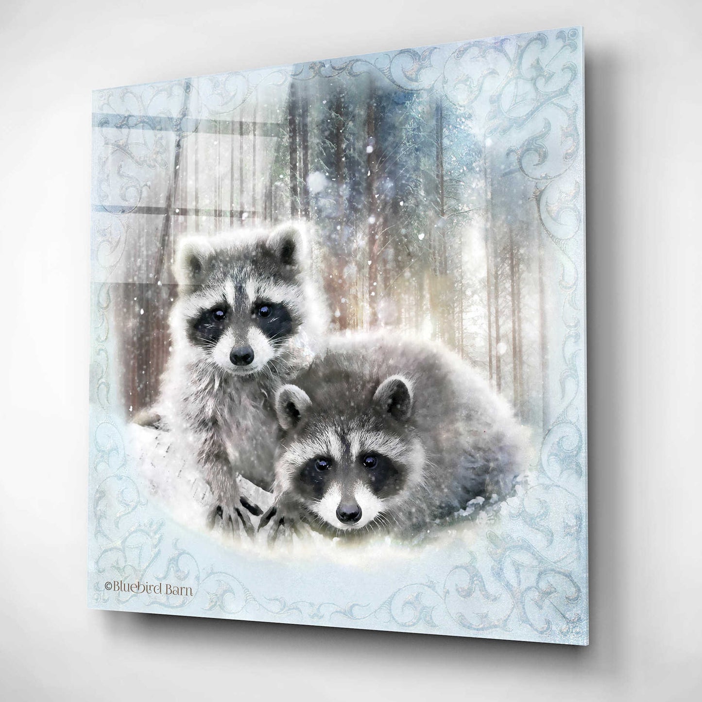 Epic Art 'Enchanted Winter Raccoons' by Bluebird Barn, Acrylic Glass Wall Art,12x12