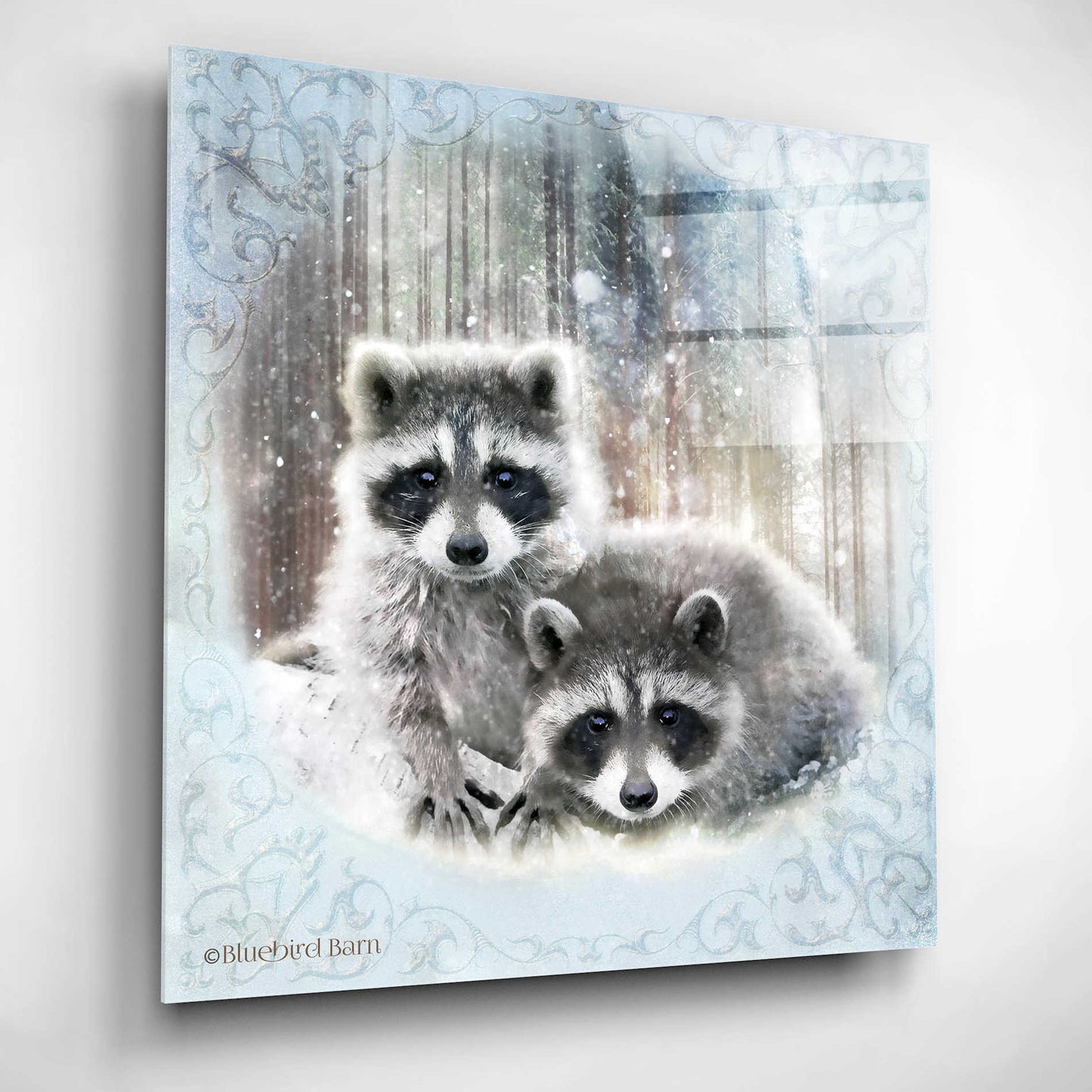 Epic Art 'Enchanted Winter Raccoons' by Bluebird Barn, Acrylic Glass Wall Art,12x12