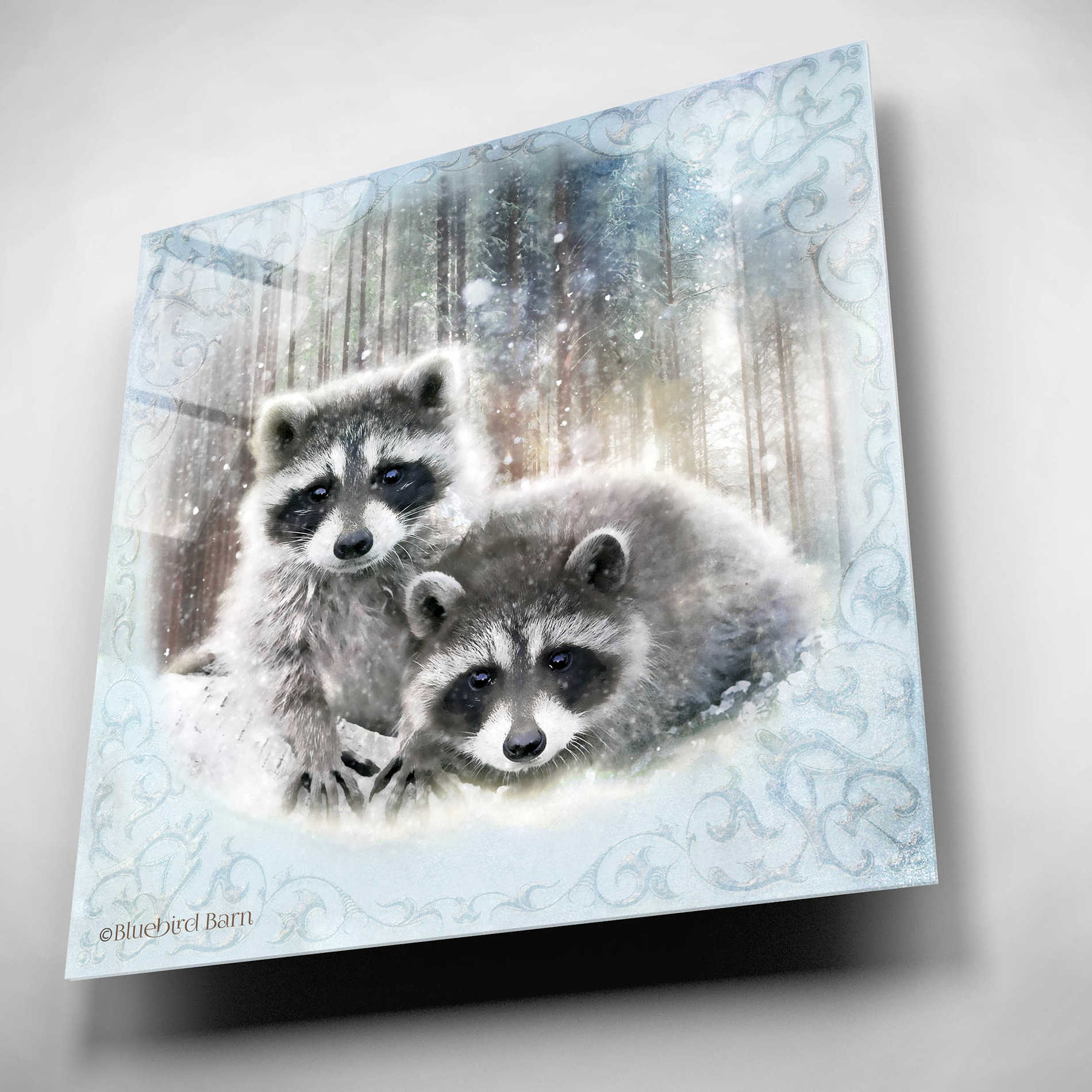 Epic Art 'Enchanted Winter Raccoons' by Bluebird Barn, Acrylic Glass Wall Art,12x12