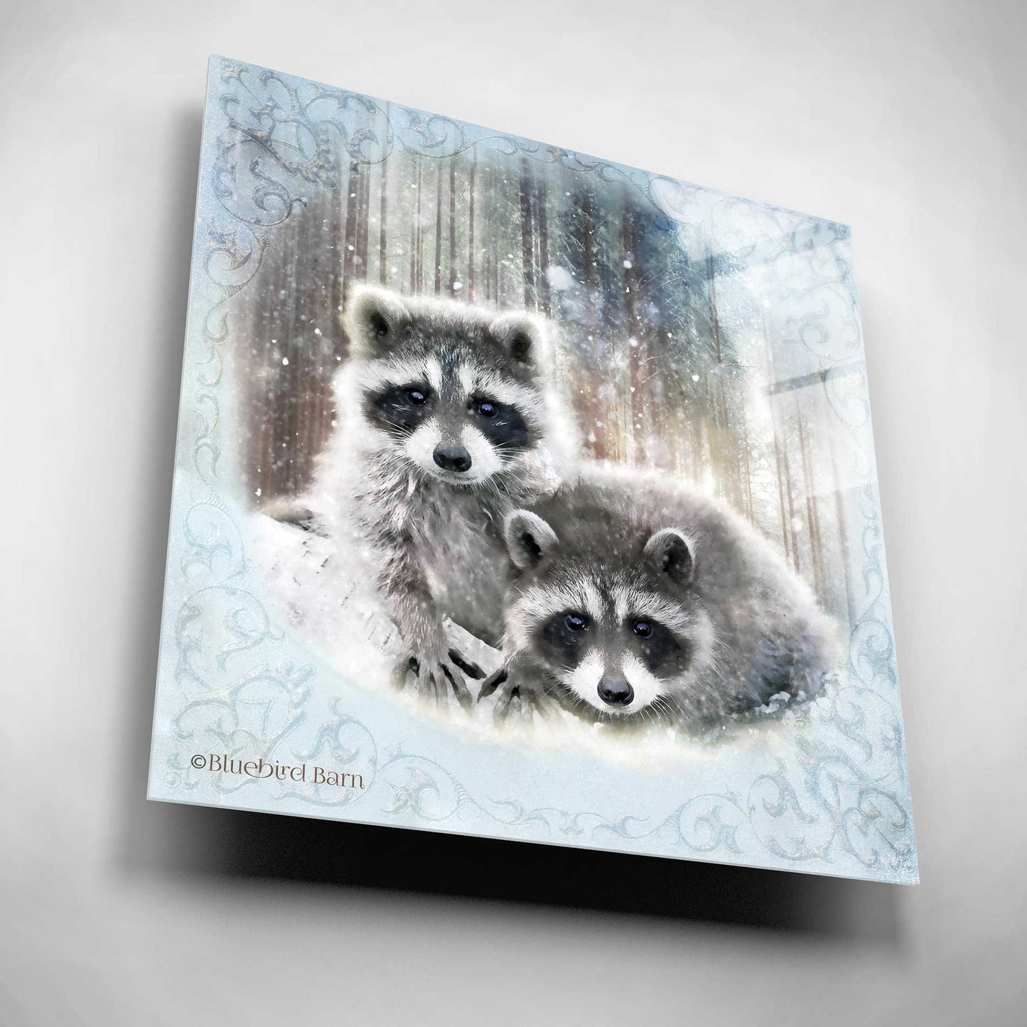 Epic Art 'Enchanted Winter Raccoons' by Bluebird Barn, Acrylic Glass Wall Art,12x12