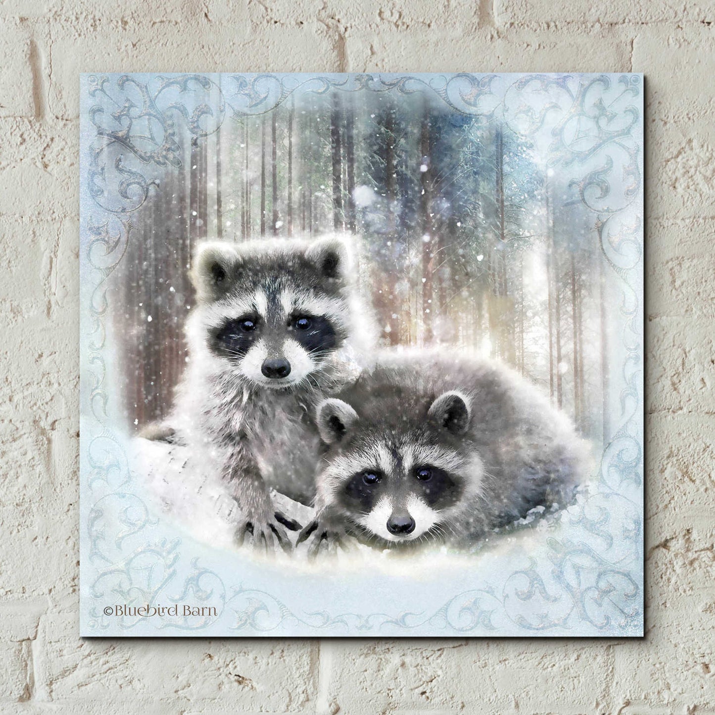 Epic Art 'Enchanted Winter Raccoons' by Bluebird Barn, Acrylic Glass Wall Art,12x12