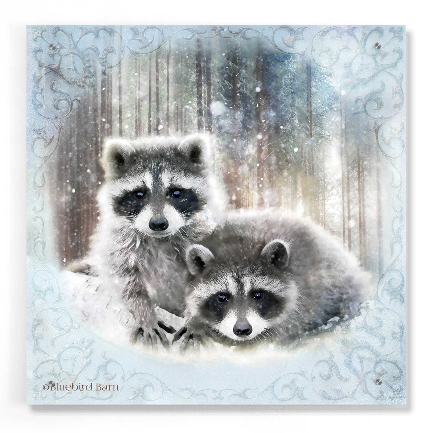 Epic Art 'Enchanted Winter Raccoons' by Bluebird Barn, Acrylic Glass Wall Art,24x24