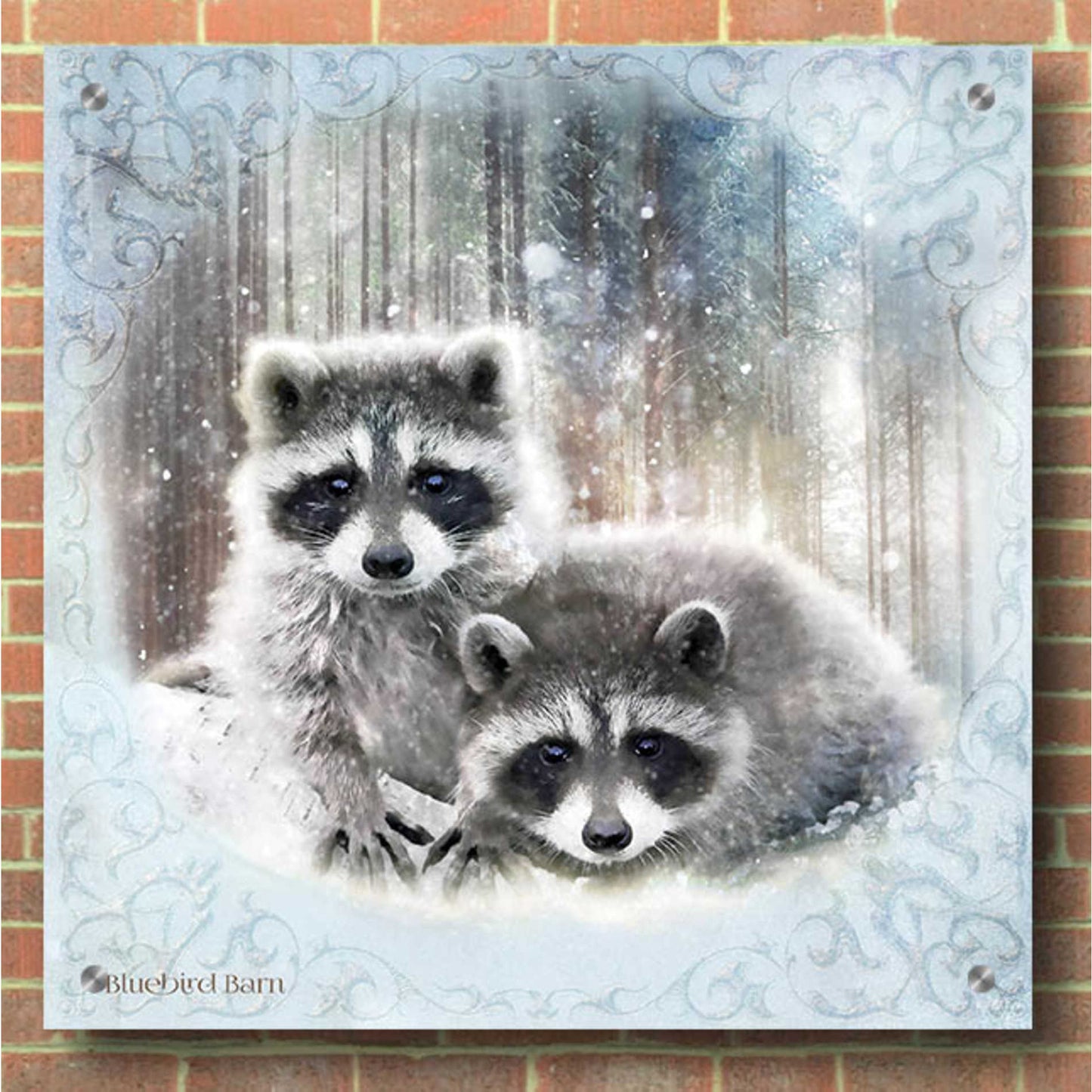 Epic Art 'Enchanted Winter Raccoons' by Bluebird Barn, Acrylic Glass Wall Art,36x36