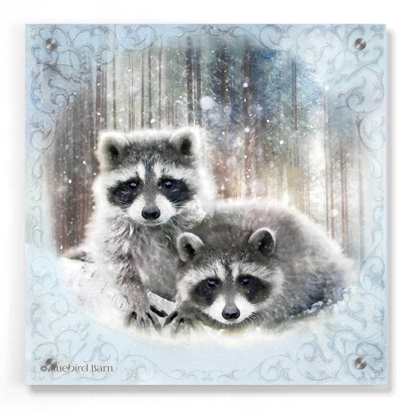 Epic Art 'Enchanted Winter Raccoons' by Bluebird Barn, Acrylic Glass Wall Art,36x36