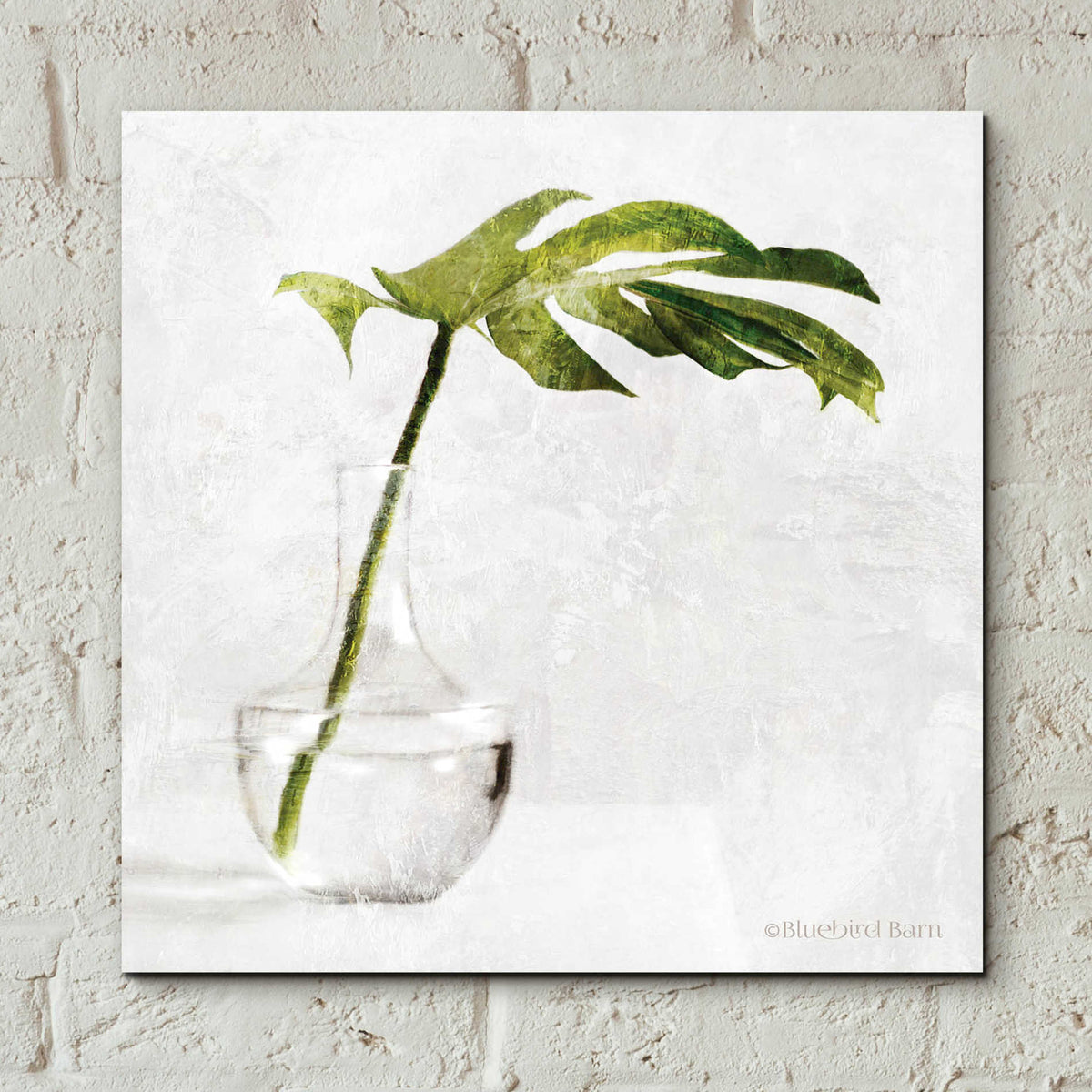 Epic Art 'Single Green Stem in Glass' by Bluebird Barn, Acrylic Glass Wall Art,12x12