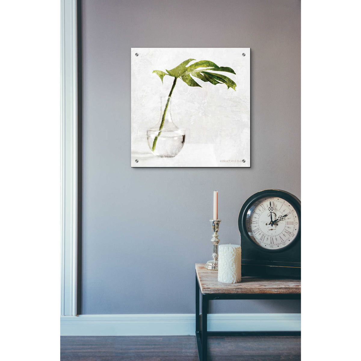 Epic Art 'Single Green Stem in Glass' by Bluebird Barn, Acrylic Glass Wall Art,24x24