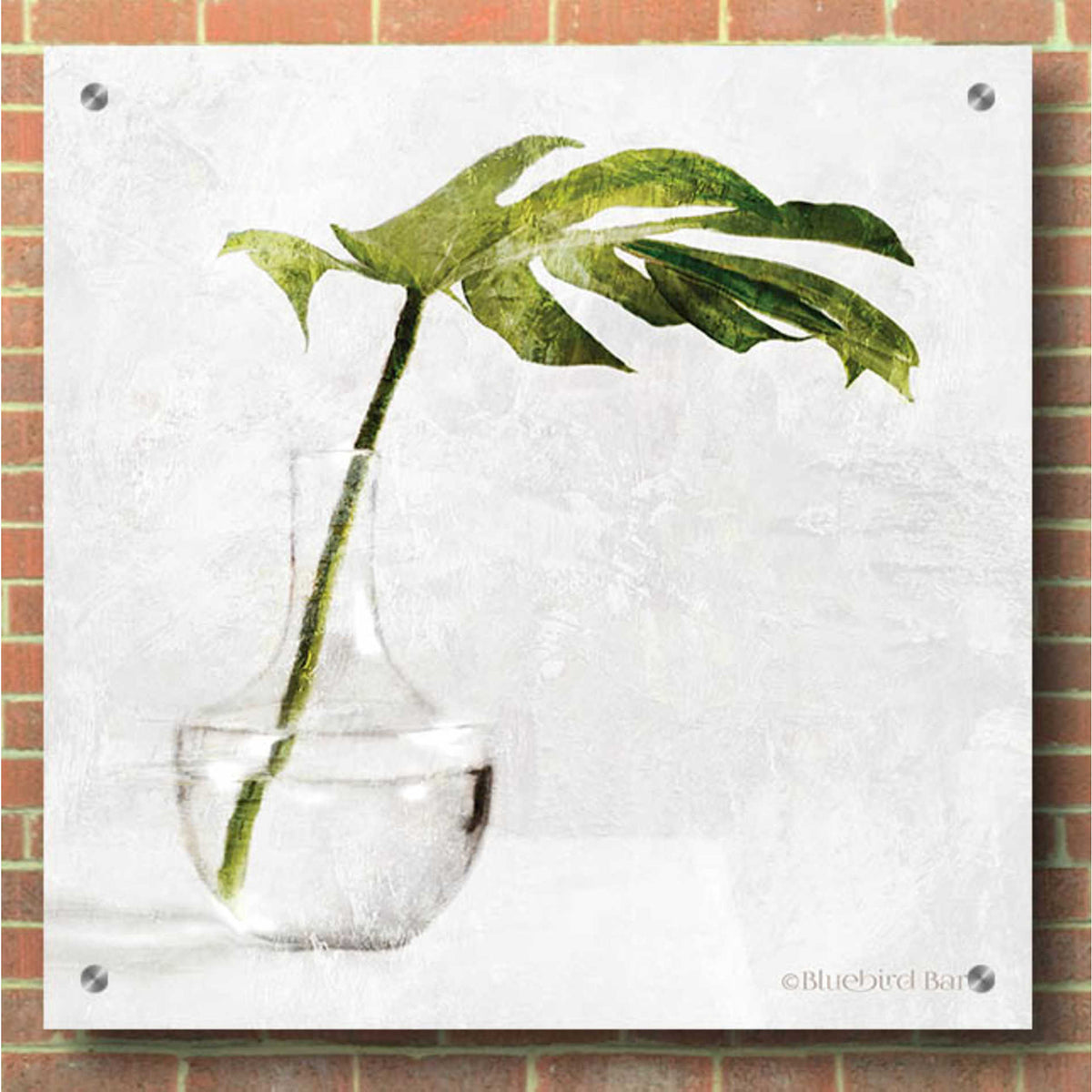 Epic Art 'Single Green Stem in Glass' by Bluebird Barn, Acrylic Glass Wall Art,36x36