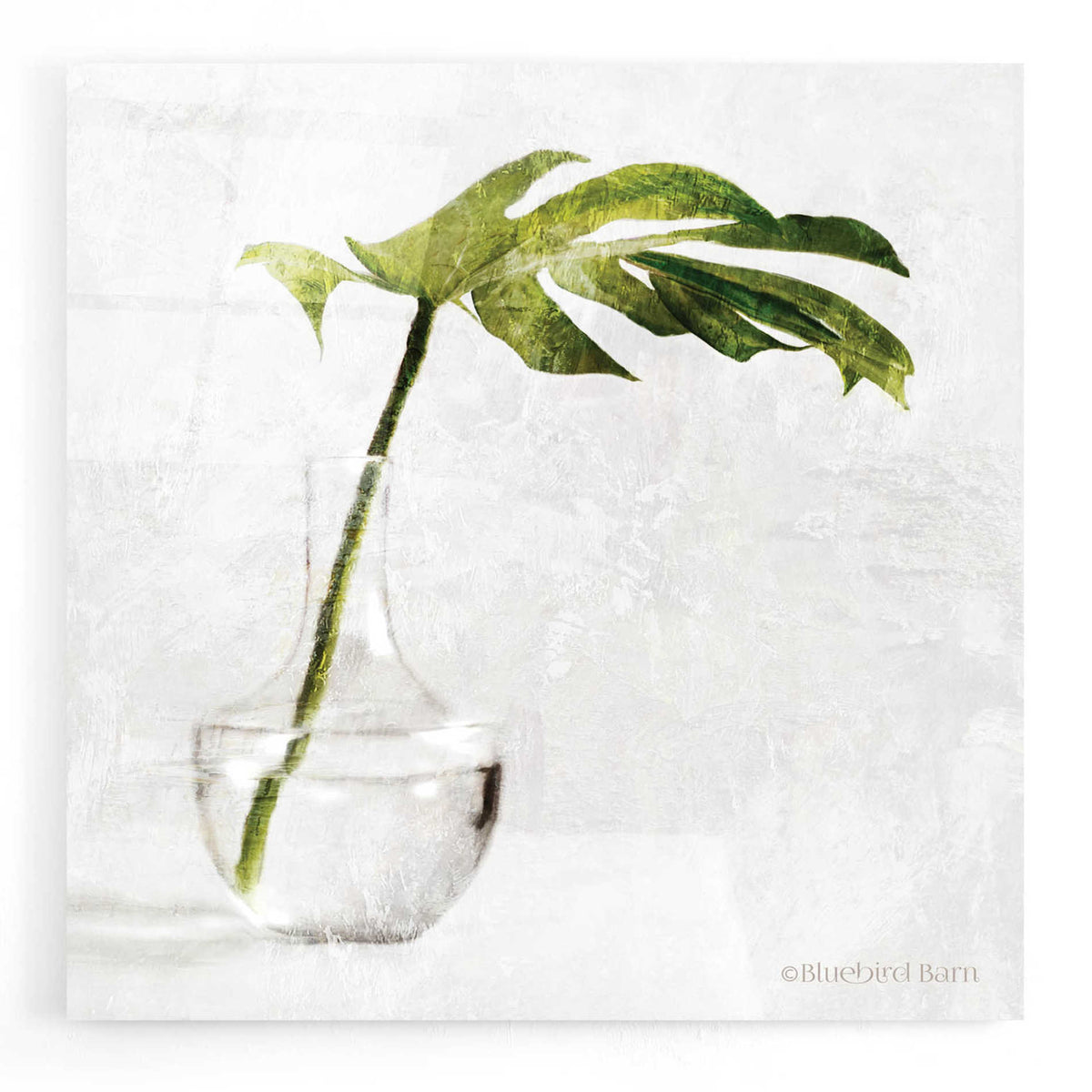 Epic Art 'Single Green Stem in Glass' by Bluebird Barn, Acrylic Glass Wall Art