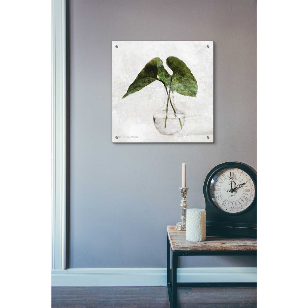 Epic Art 'Stems in Glass' by Bluebird Barn, Acrylic Glass Wall Art,24x24