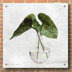 Epic Art 'Stems in Glass' by Bluebird Barn, Acrylic Glass Wall Art,36x36