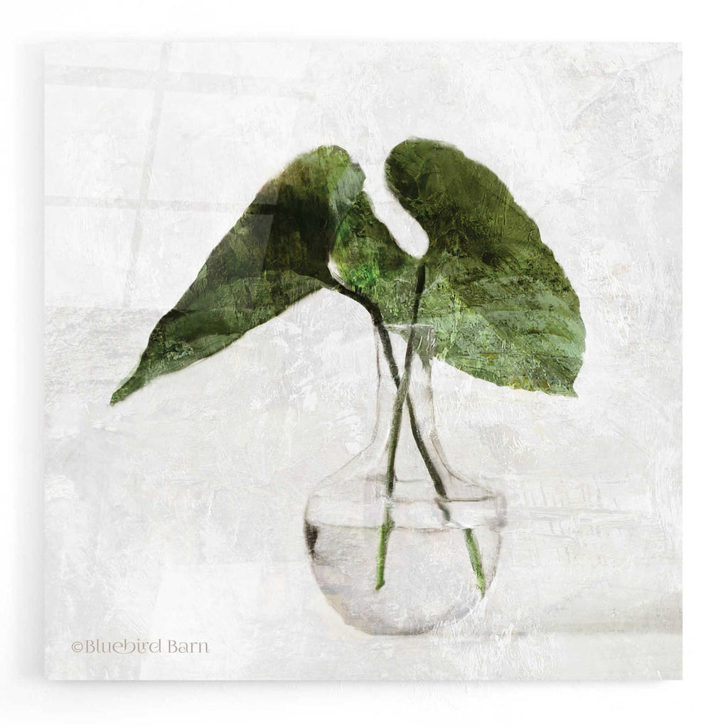 Epic Art 'Stems in Glass' by Bluebird Barn, Acrylic Glass Wall Art
