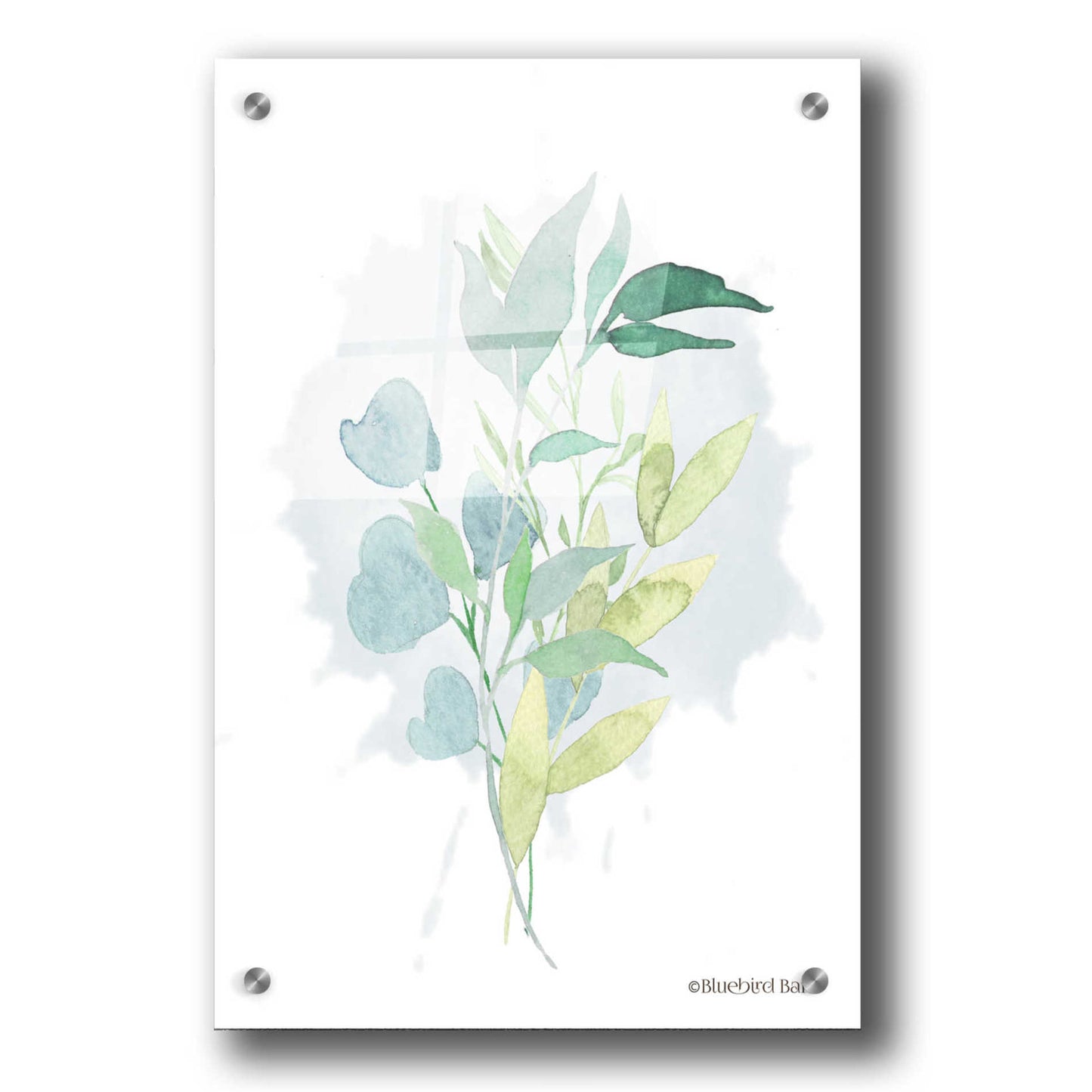 Epic Art 'Watercolor Greenery Series II' by Bluebird Barn, Acrylic Glass Wall Art,24x36